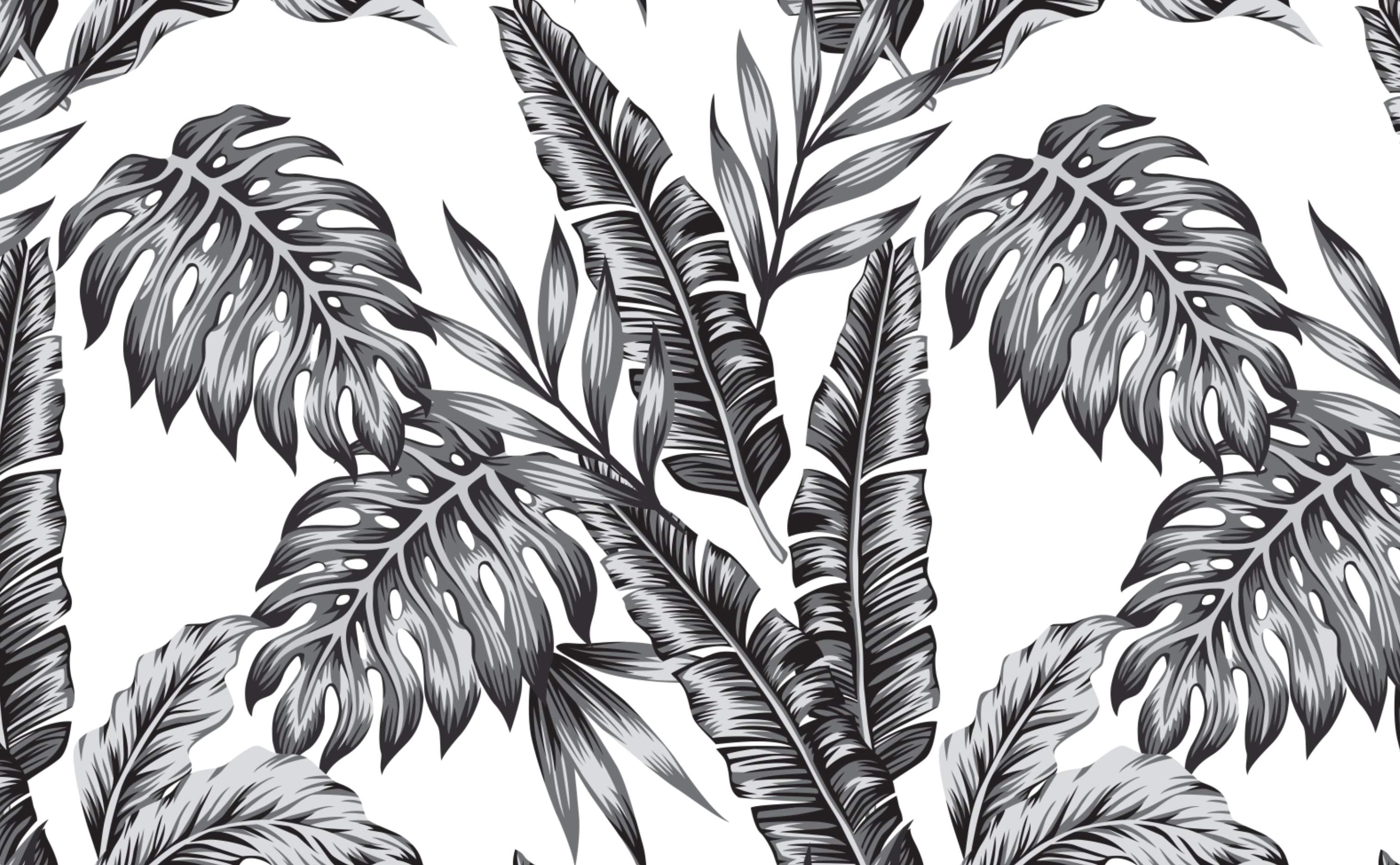 3028x1872 Black and White Tropical Wallpapers Top Free Black and White Tropical Backgrounds