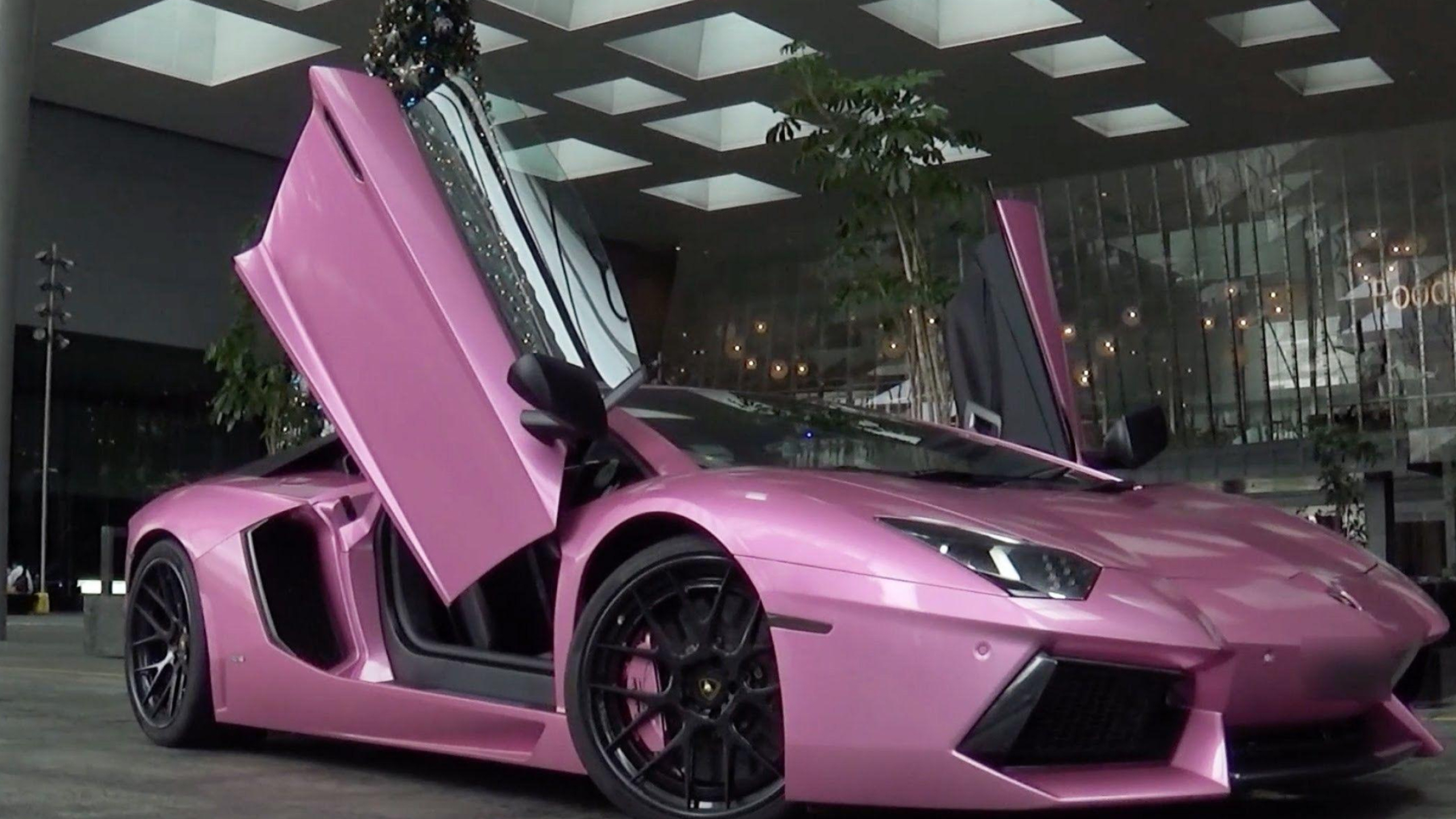2560x1440 Pink Lamborghini Wallpapers