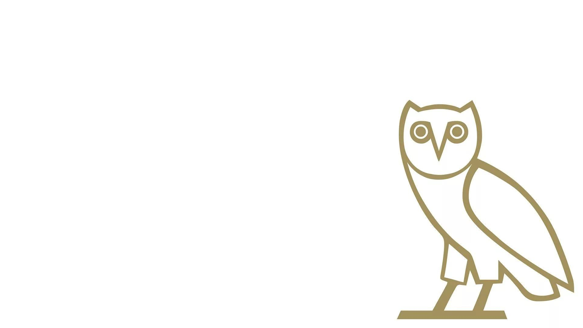 OVO Owl Wallpapers and Backgrounds 4K