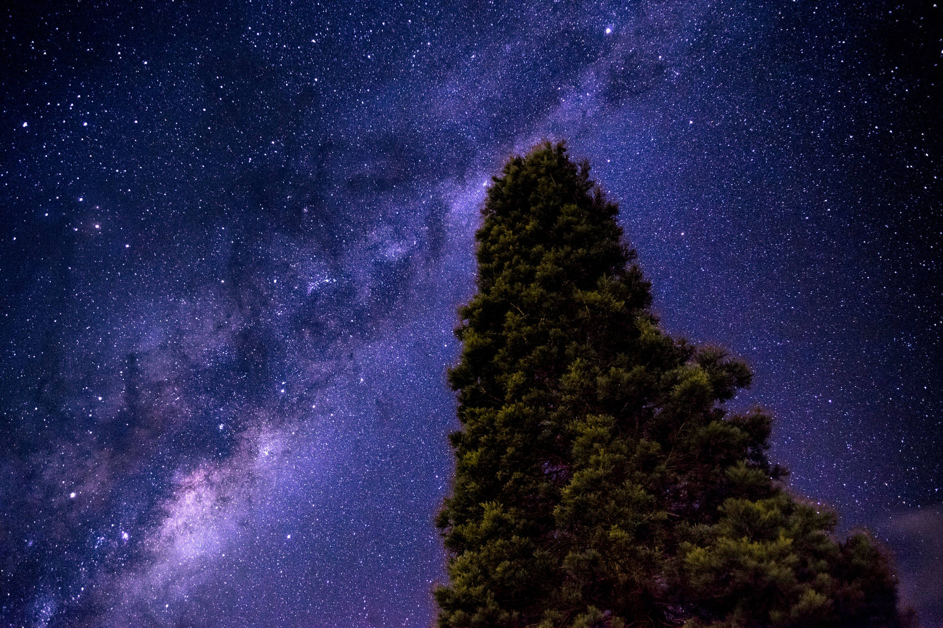 1920x1280 Download Single Tree Under The Milky Way Wallpaper