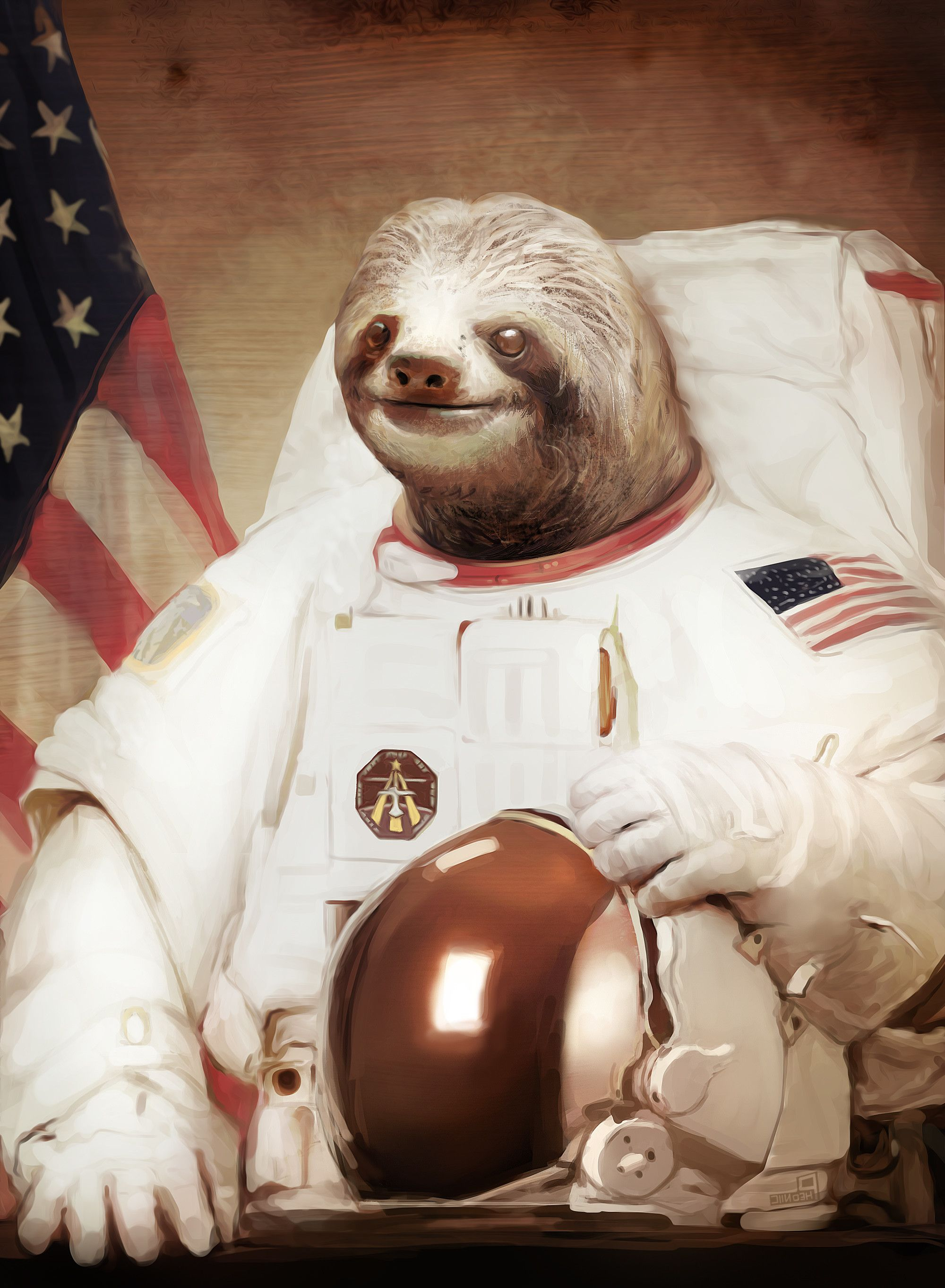 2000x2726 Space Sloth Wallpapers