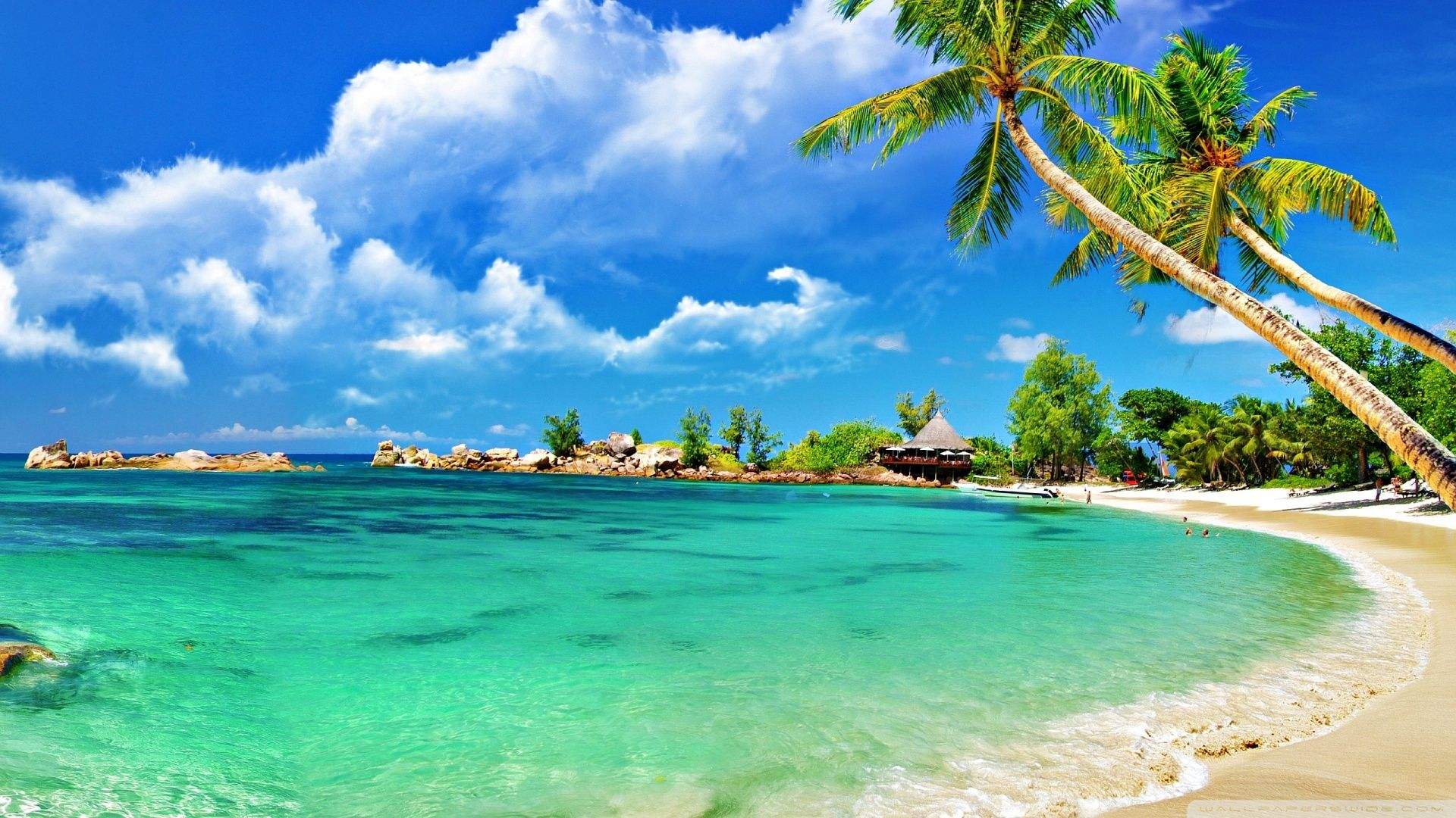 1920x1080 Tropical Beach Wallpapers Top Free Tropical Beach Backgrounds