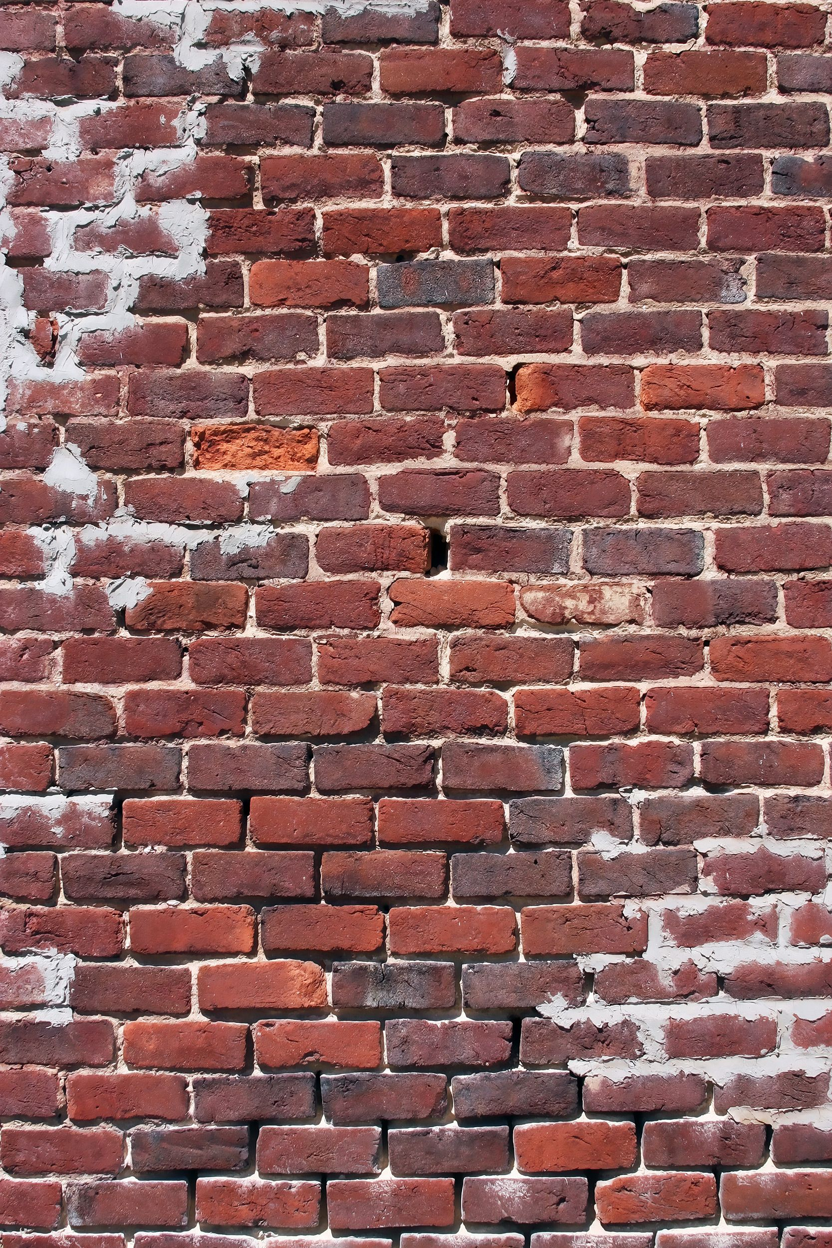 1667x2500 Stone Wall \u0026 Brick Wall Free Textures | Brick background, Brick wall, Free textures