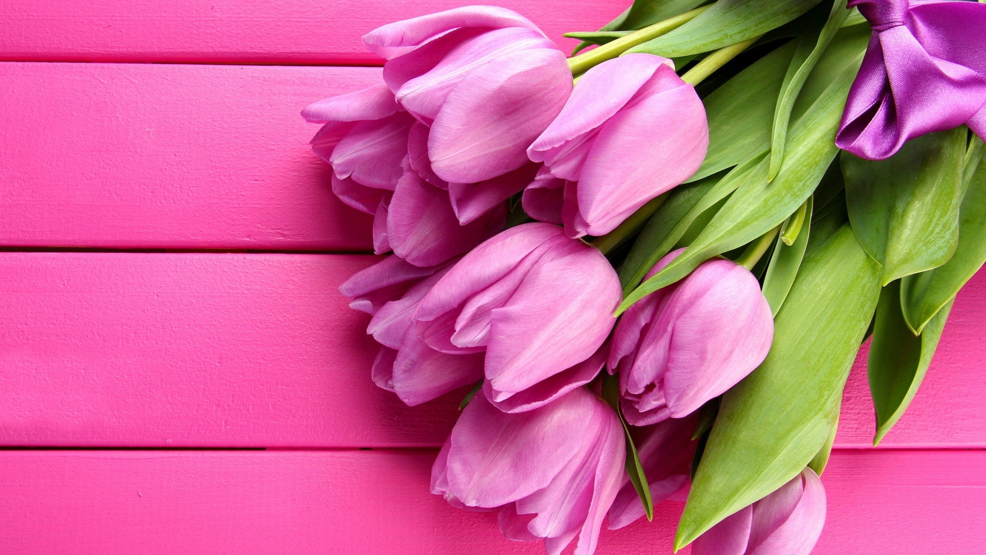 1920x1080 Pink Tulips KDE Store