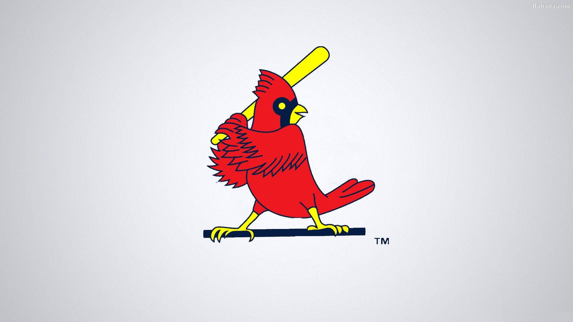 1920x1080 Download St Louis Cardinals Bird With Baseball Bat Wallpaper | Wallpapers .com