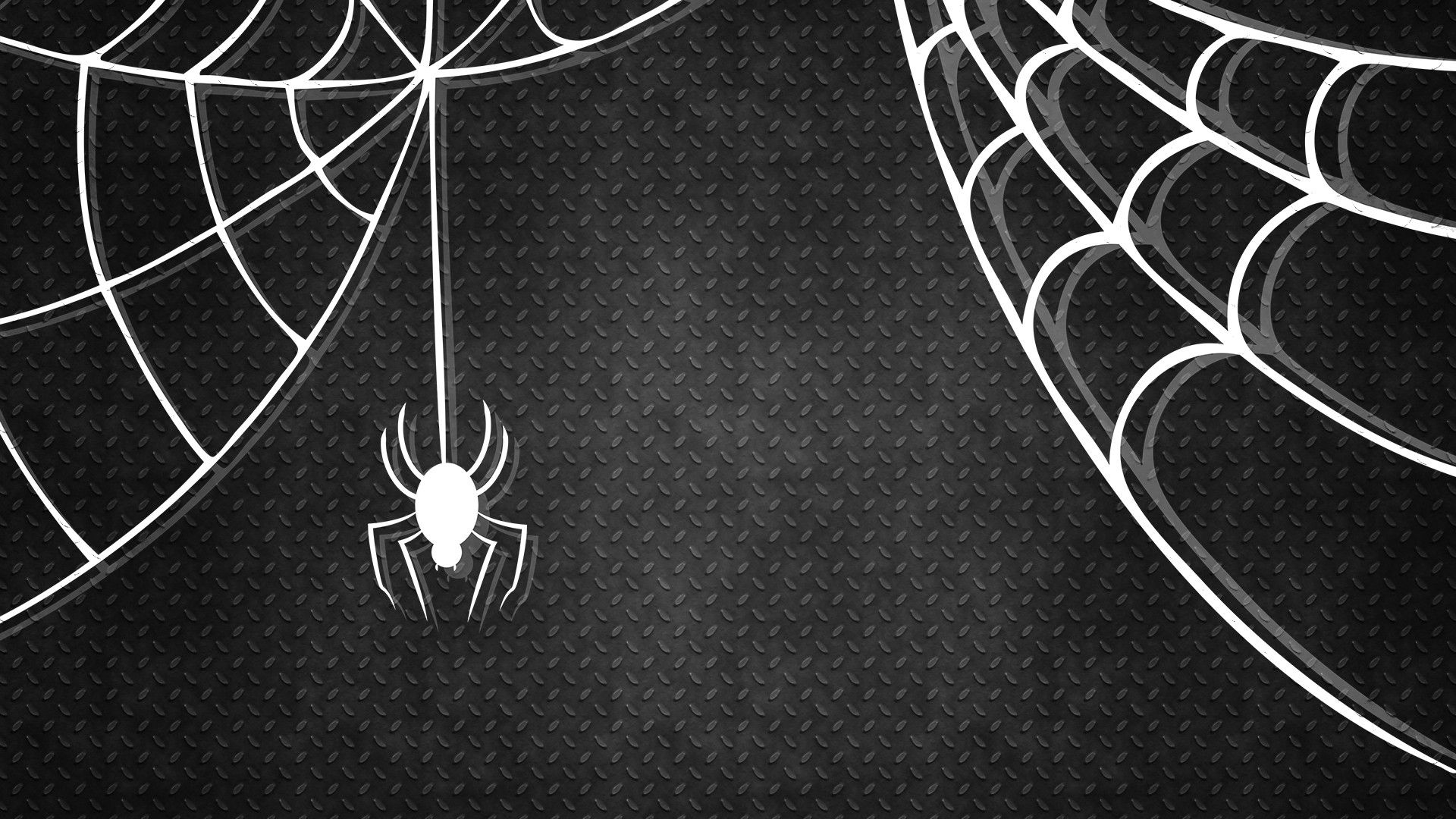 1920x1080 Halloween Spider Wallpapers Top Free Halloween Spider Backgrounds