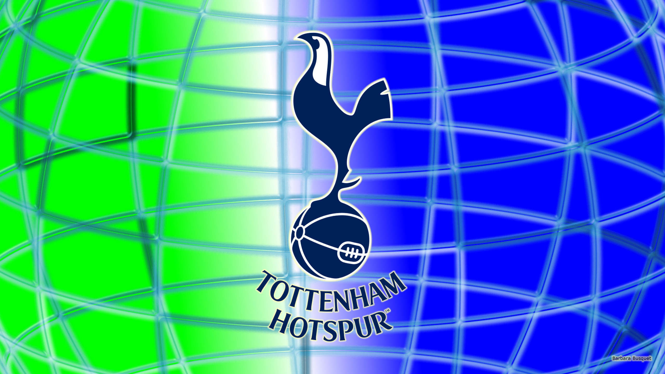 2560x1440 40+ Tottenham Hotspur HD Wallpapers and Backgrounds