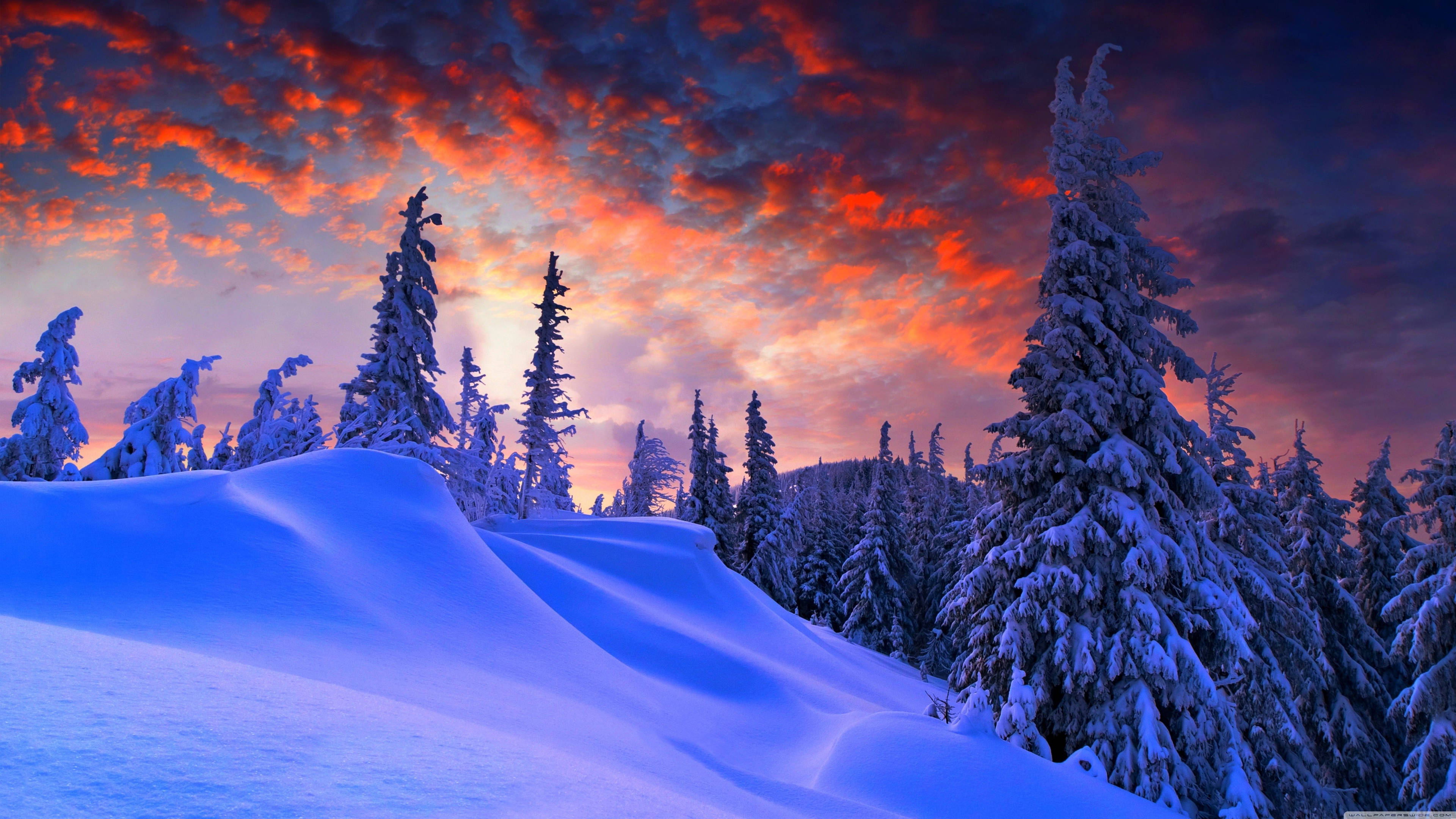 3840x2160 Download Snowy Hill In Winter Wallpaper