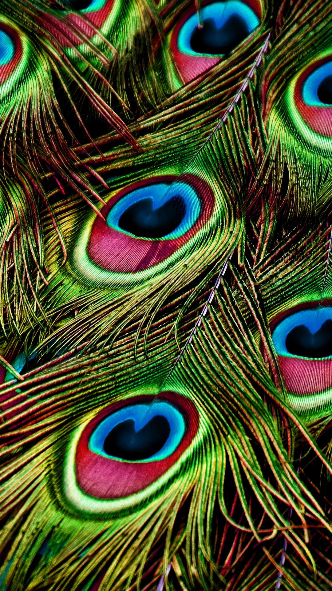 1080x1920 Peacock, feathers, close up, colorful wallpaper | Feather wallpaper, Peacock wallpaper, Feather wallpaper iphone