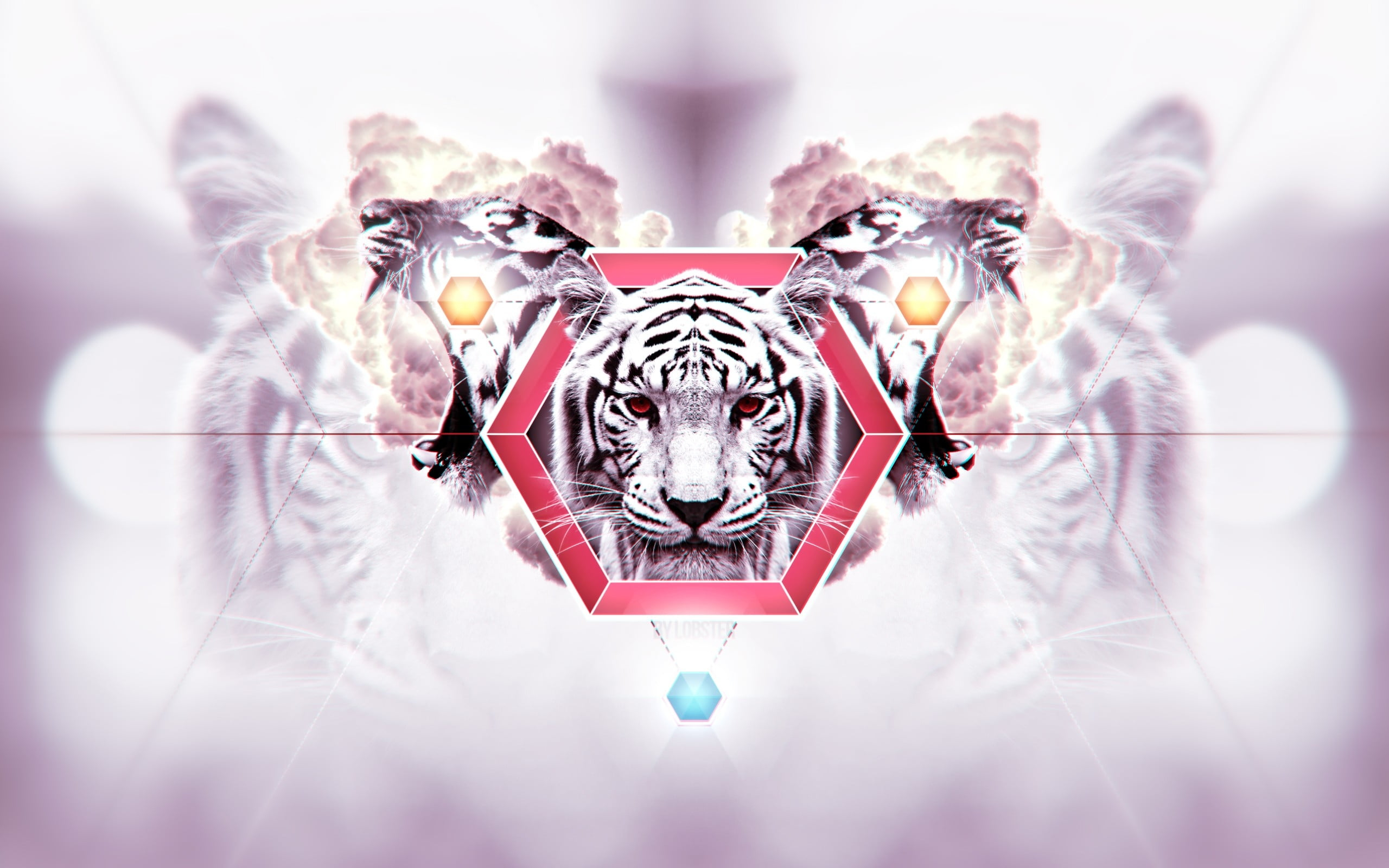 2560x1600 White tiger wallpaper HD wallpaper