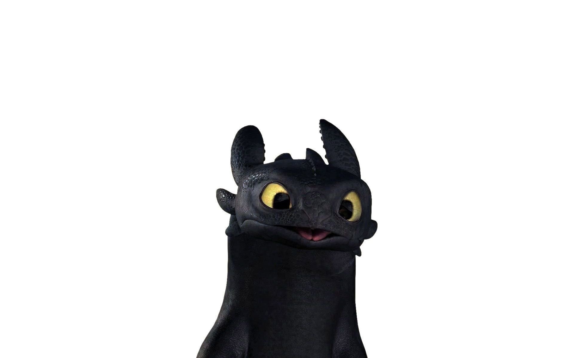 1920x1200 How To Train Your Dragon Wallpapers | Toothless wallpaper, How train your dragon, How to train your drag