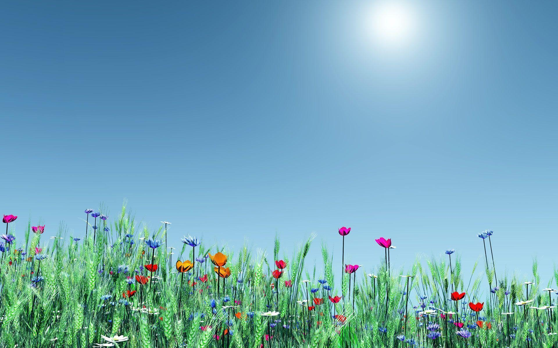 1920x1200 Spring Flowers Backgrounds