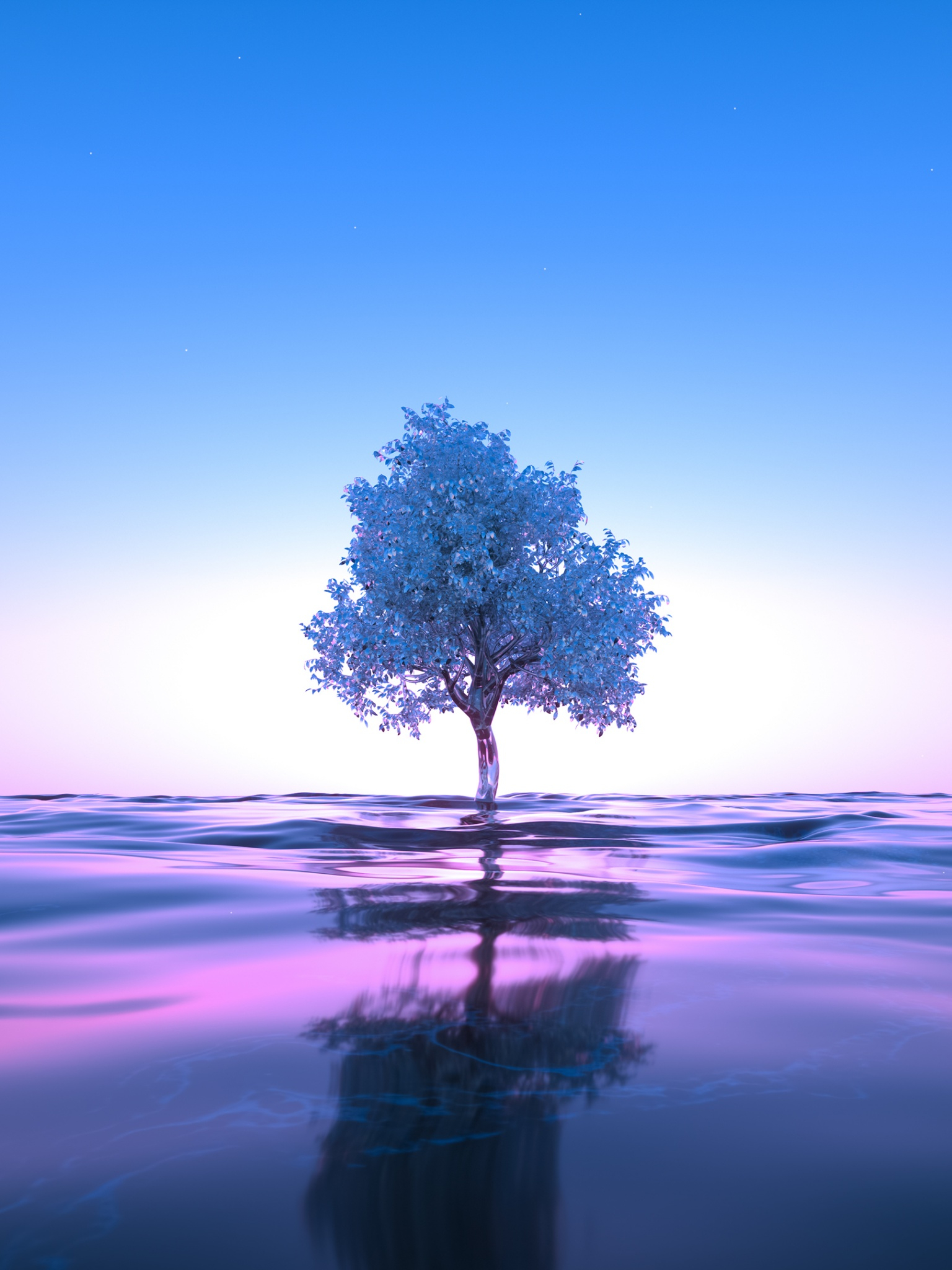 1536x2048 Water Reflections Wallpapers
