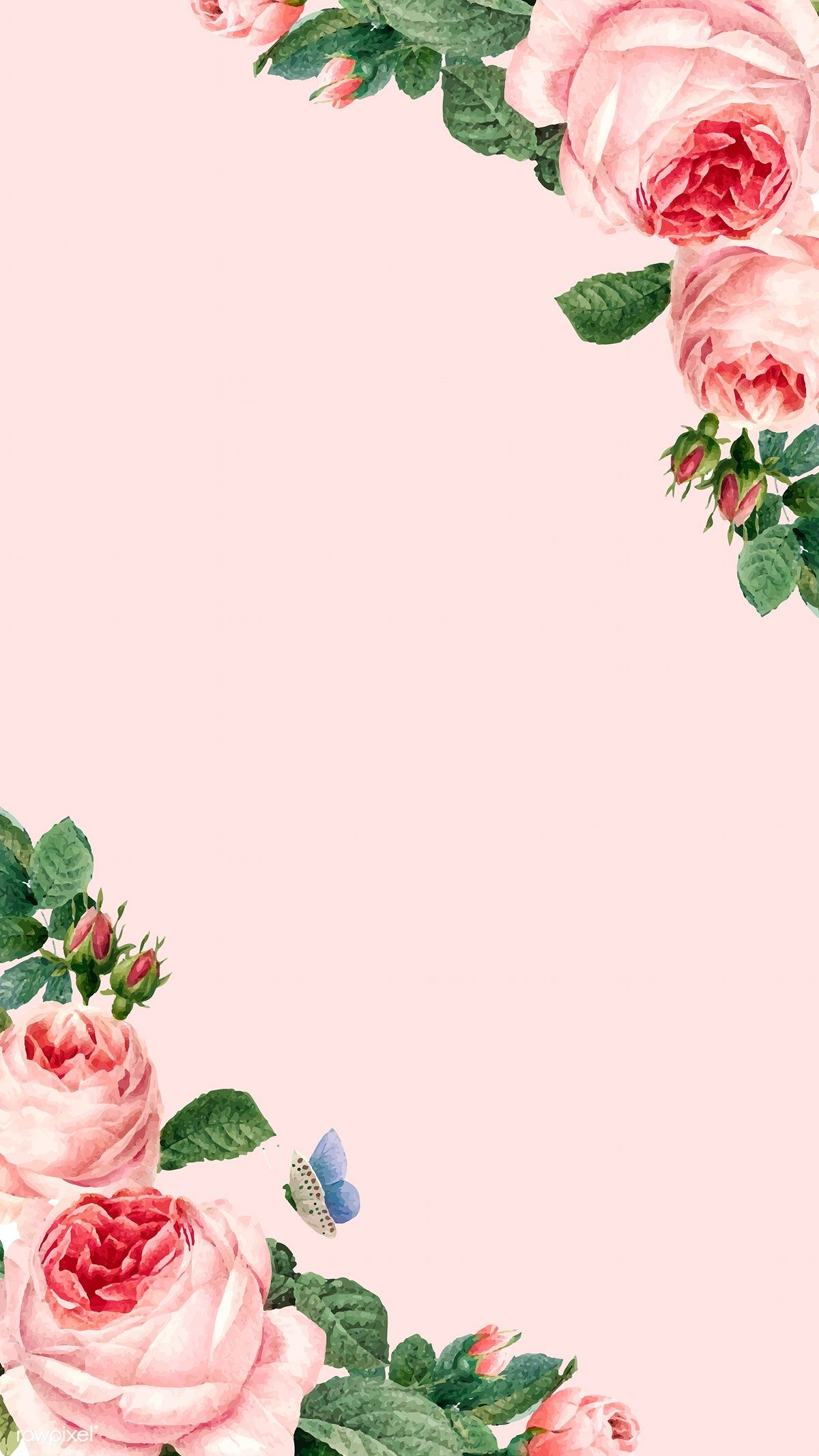 1200x2133 Hand drawn pink roses frame on pastel pink background vector | free image by ;&#128;&brvbar; | Flower background wallpaper, Pink flowers wallpaper, Flower backgrounds