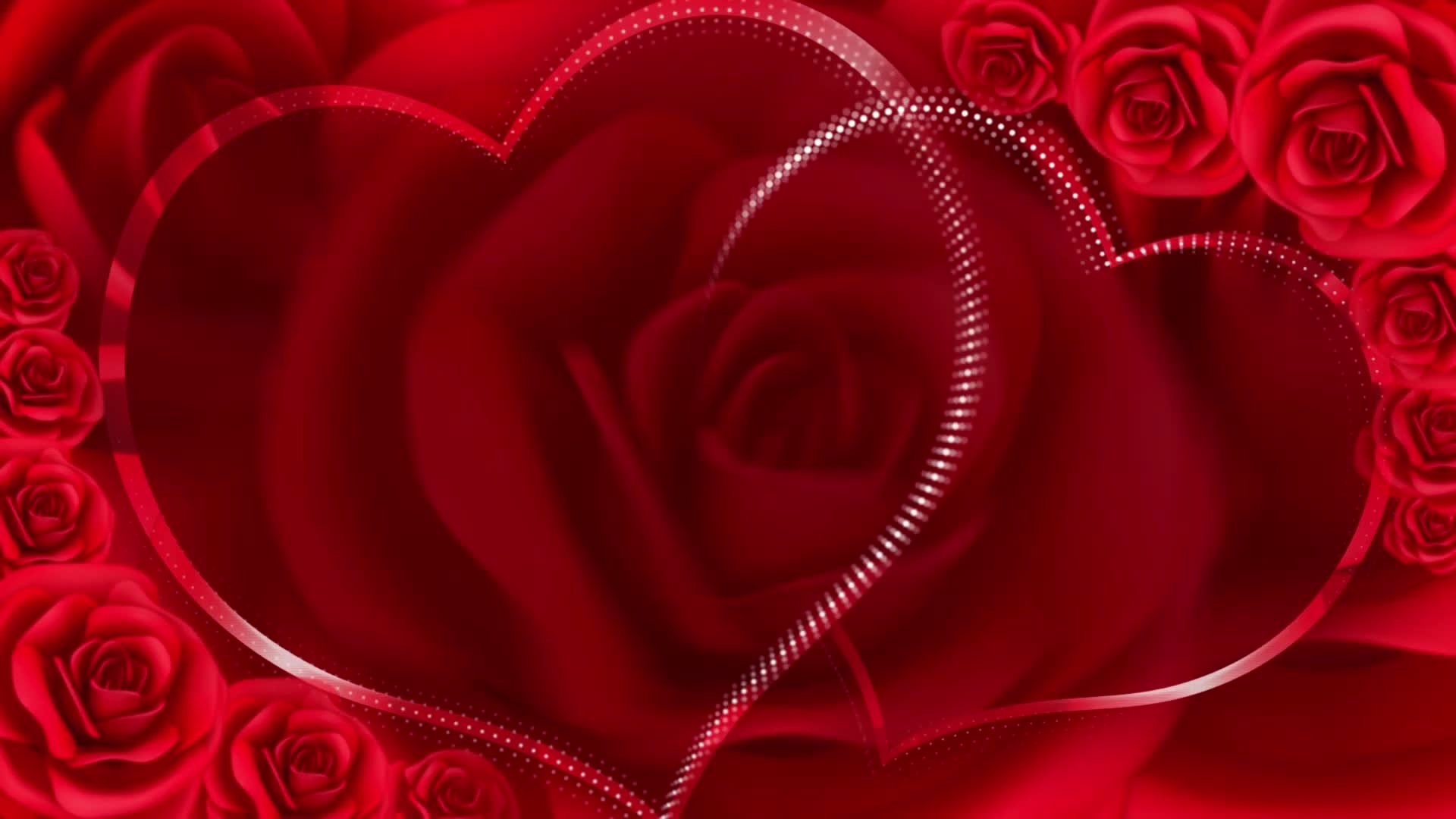1920x1080 Beautiful Red Roses Spinning in a Shiny Hearts Frame 1808499 Stock Video at Vecteezy