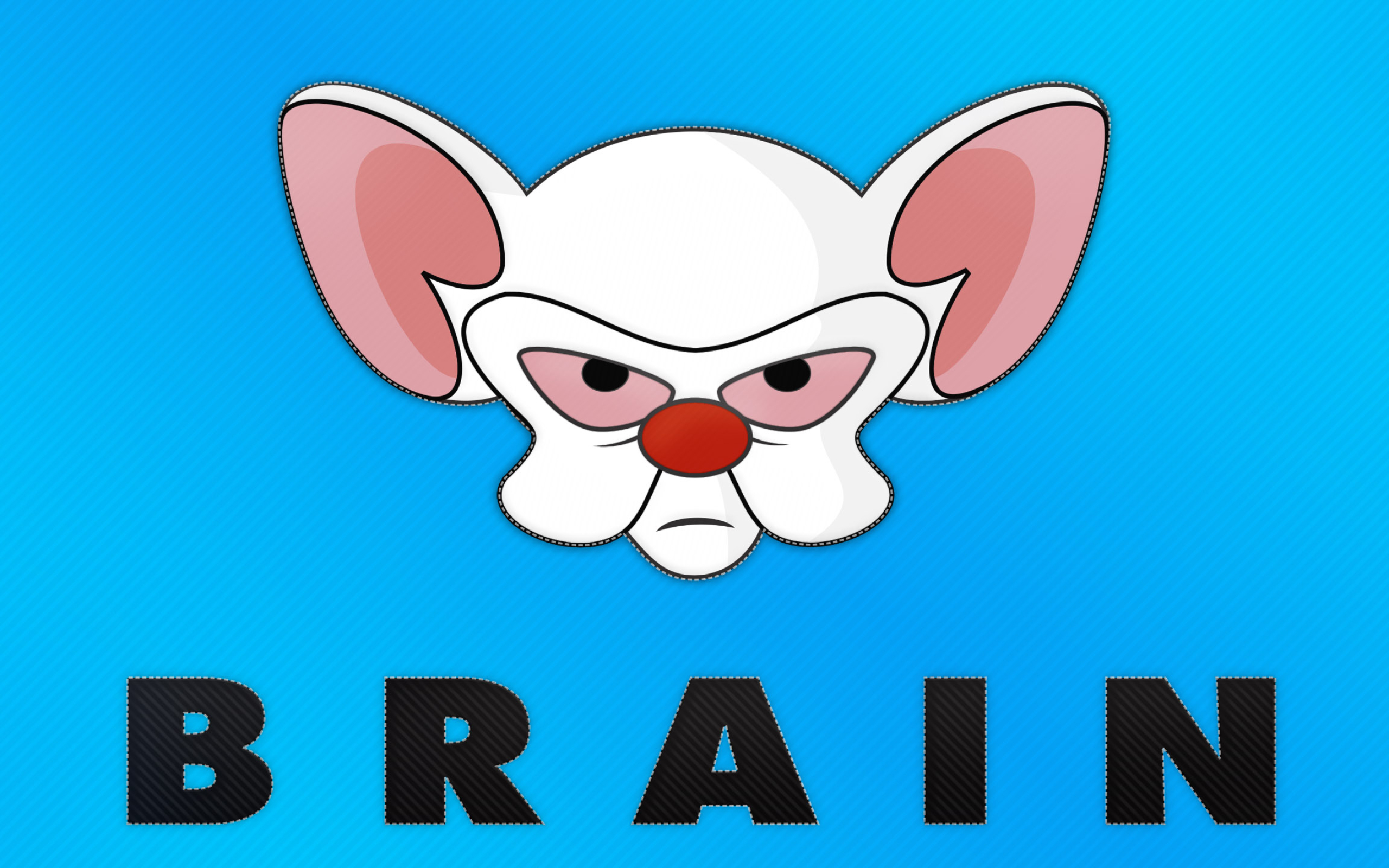 2560x1600 Free download Pinky And The Brain Flag Wallpaper Daves Geeky Ideas [] for your Desktop, Mobile \u0026 Tablet | Explore 48+ Pinky and the Brain Wallpaper | Pinky Wallpapers, Brain Wallpaper HD