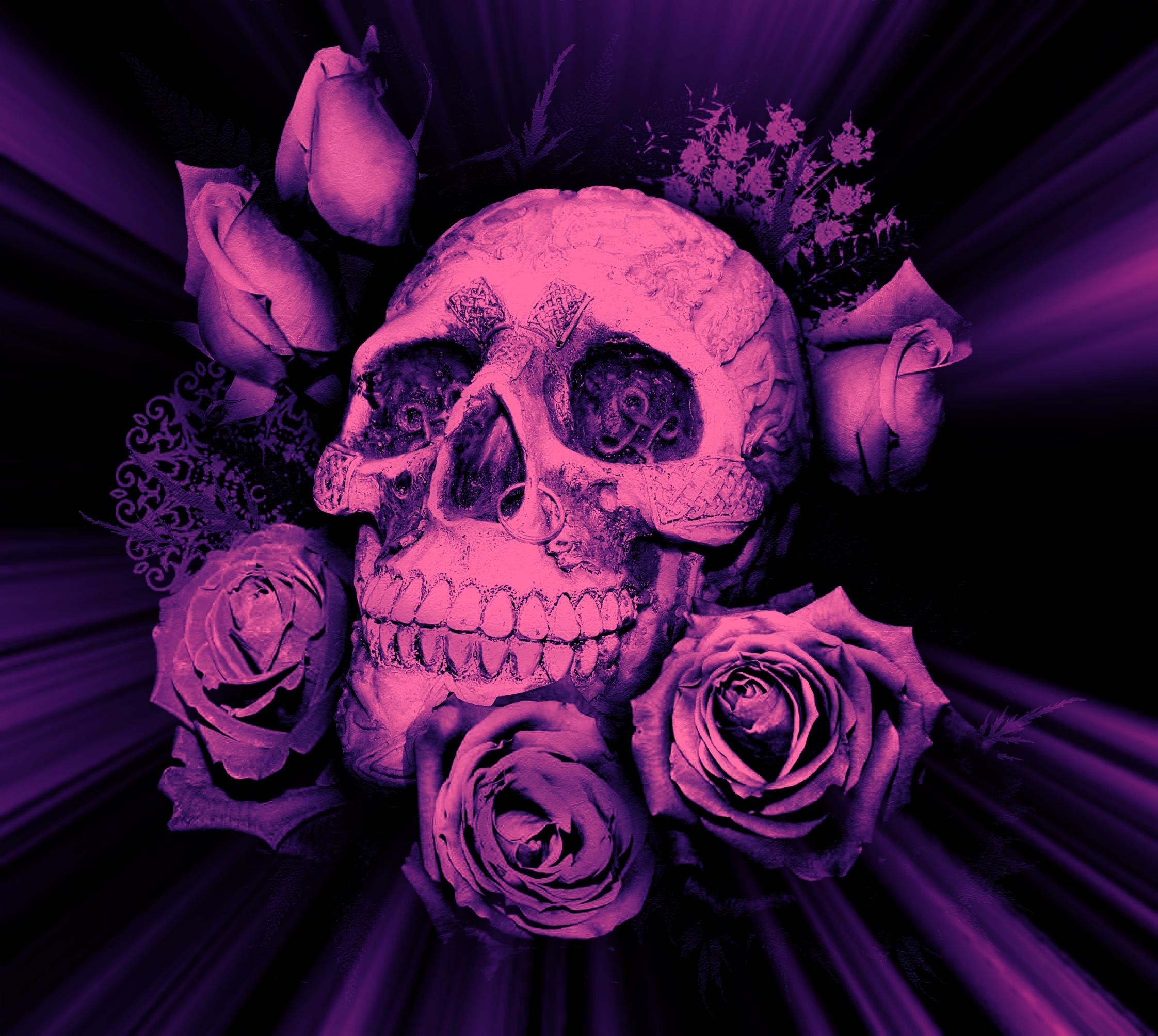 2244x2008 Pink Roses and Skulls Wallpapers Top Free Pink Roses and Skulls Backgrounds