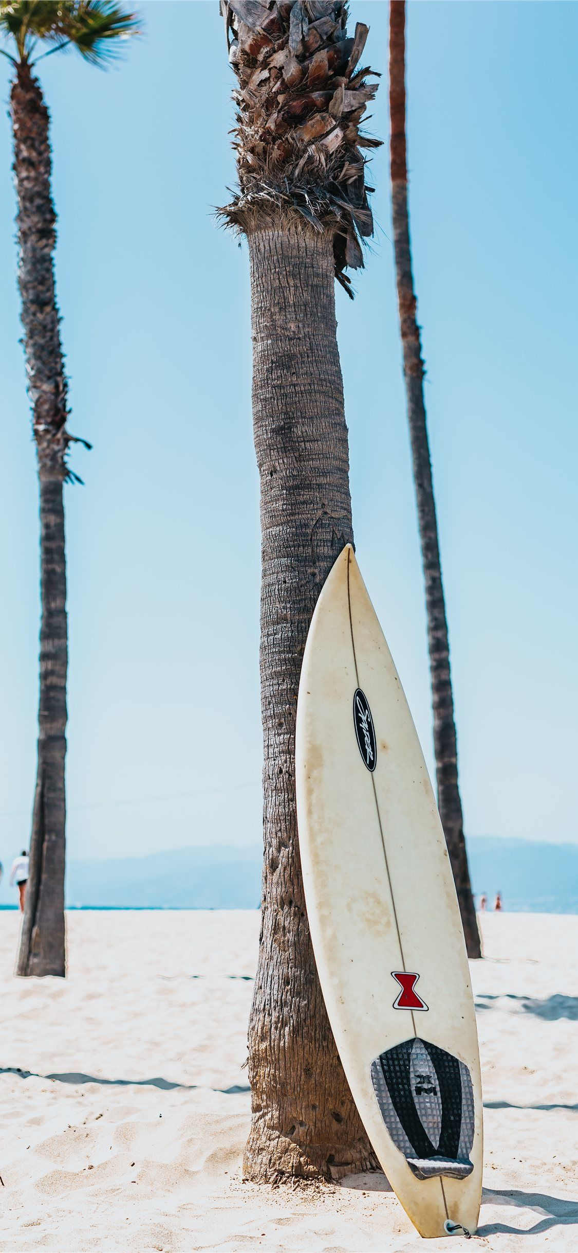 1125x2436 white and black surfboard leaning on gray Mexican ... #ocean #water #beach #palm-tree #nature | Surfing wallpaper, Beautiful ocean pictures, Beach background