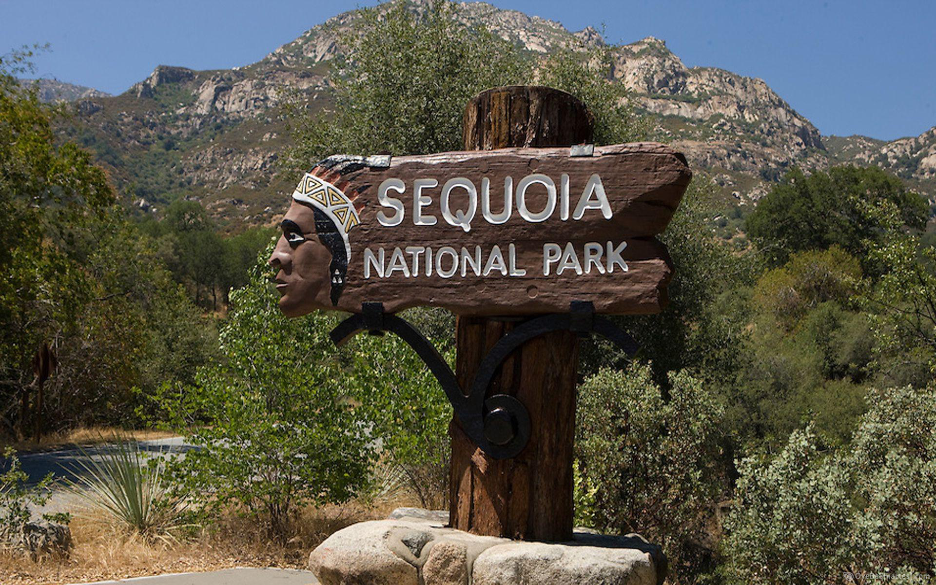 1920x1200 &eth;&#159;&#148;&yen; Sequoia National Park HD Wallpapers Nature Wallpaper Full | Free Download