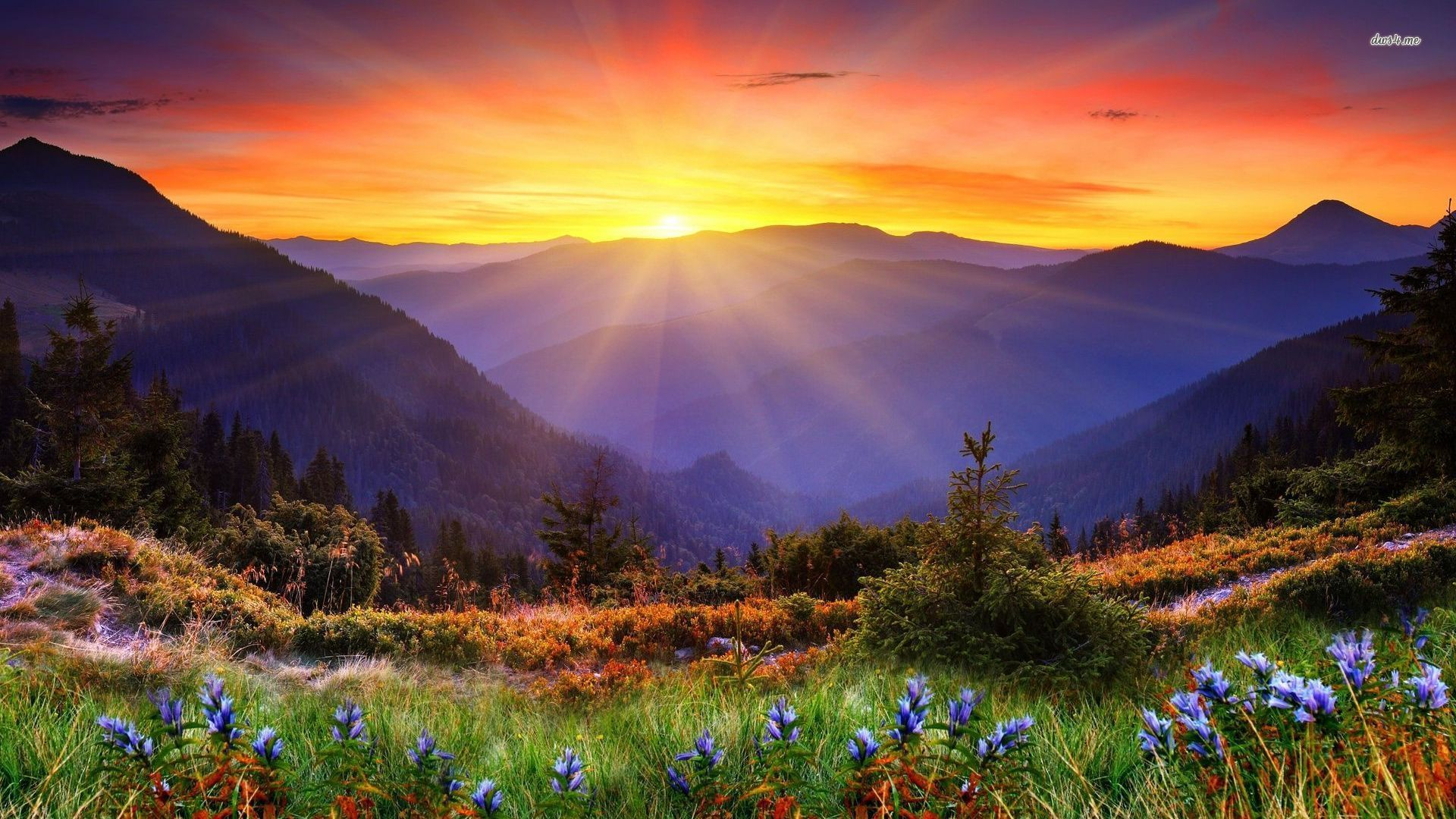1920x1080 Mountain Sunrise Wallpapers Top Free Mountain Sunrise Backgrounds
