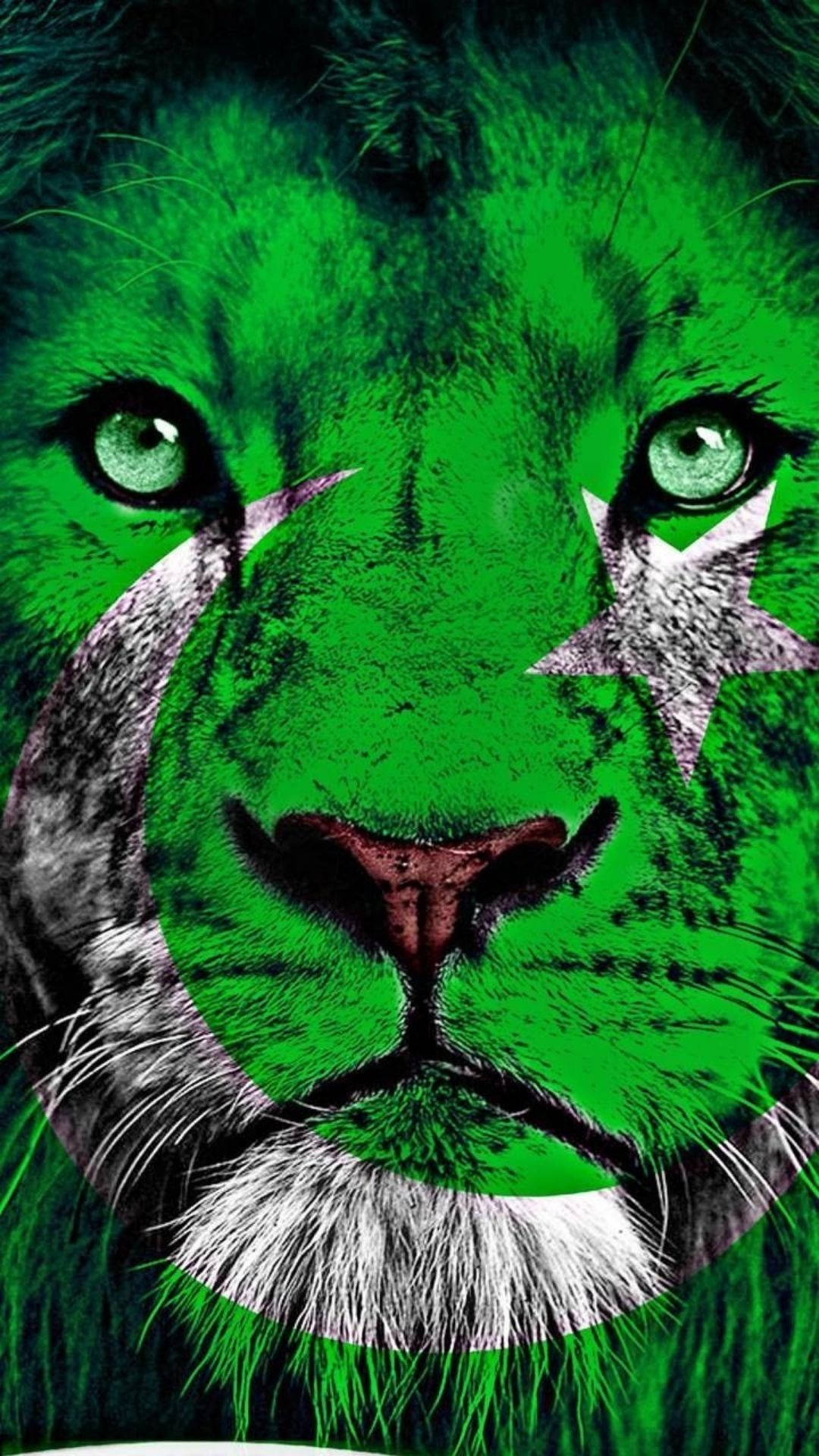 1080x1920 Download Tiger With Pakistan Logo Wallpaper