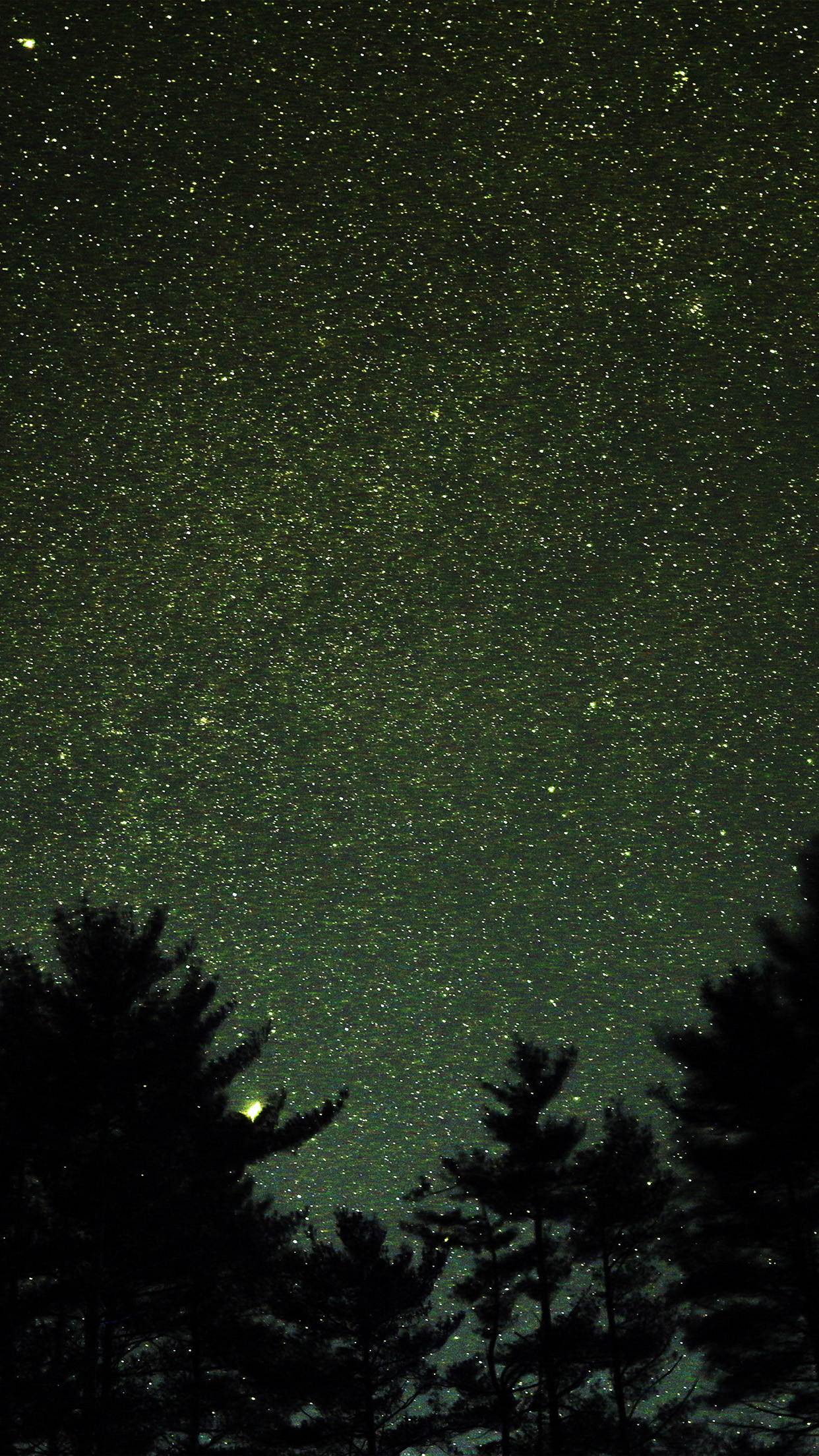 1242x2208 | iPhone11 wallpaper | ng58-night-sky-star-space-starry-wood-dark-green-romantic