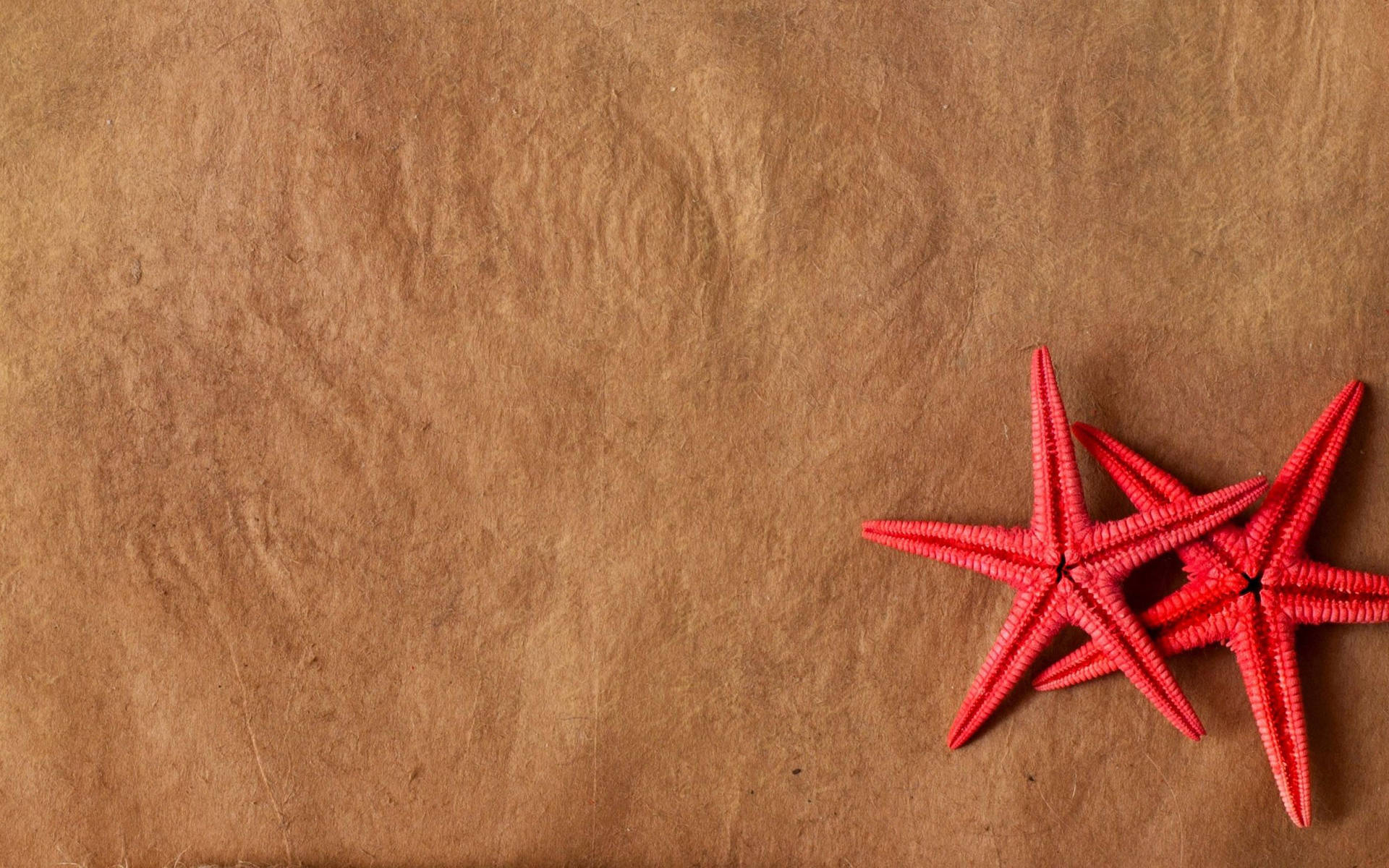 1920x1200 Download Red Starfish On Sand Wallpaper