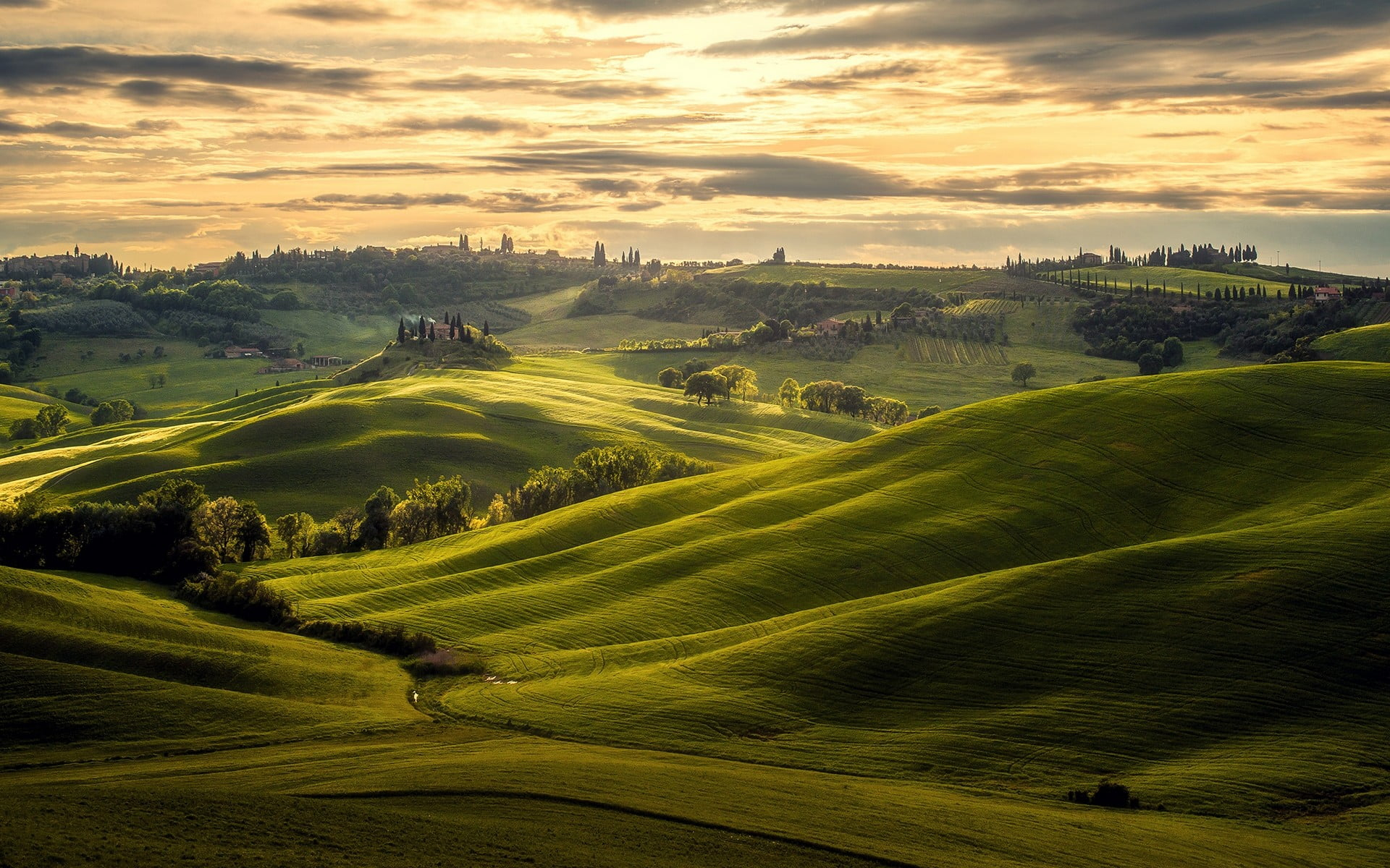 1920x1200 Green grass field, nature, landscape, Tuscany, Italy HD wallpaper |