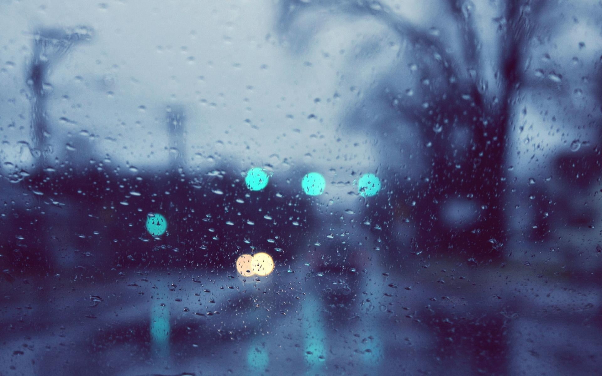 1920x1200 Selective focus photography of rain drops outside window HD wallpaper |