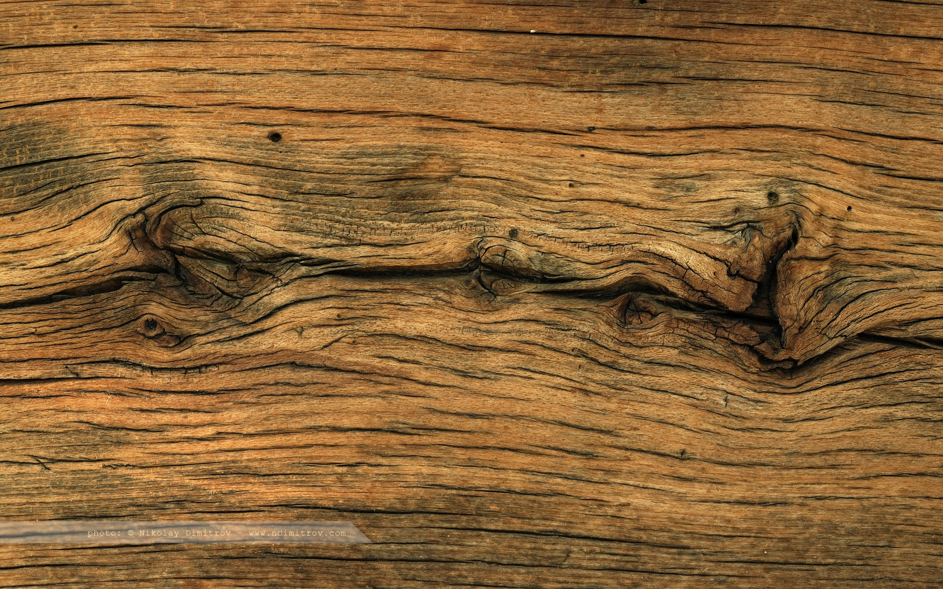 1920x1200 50 HD Wood Wallpapers For Free Download