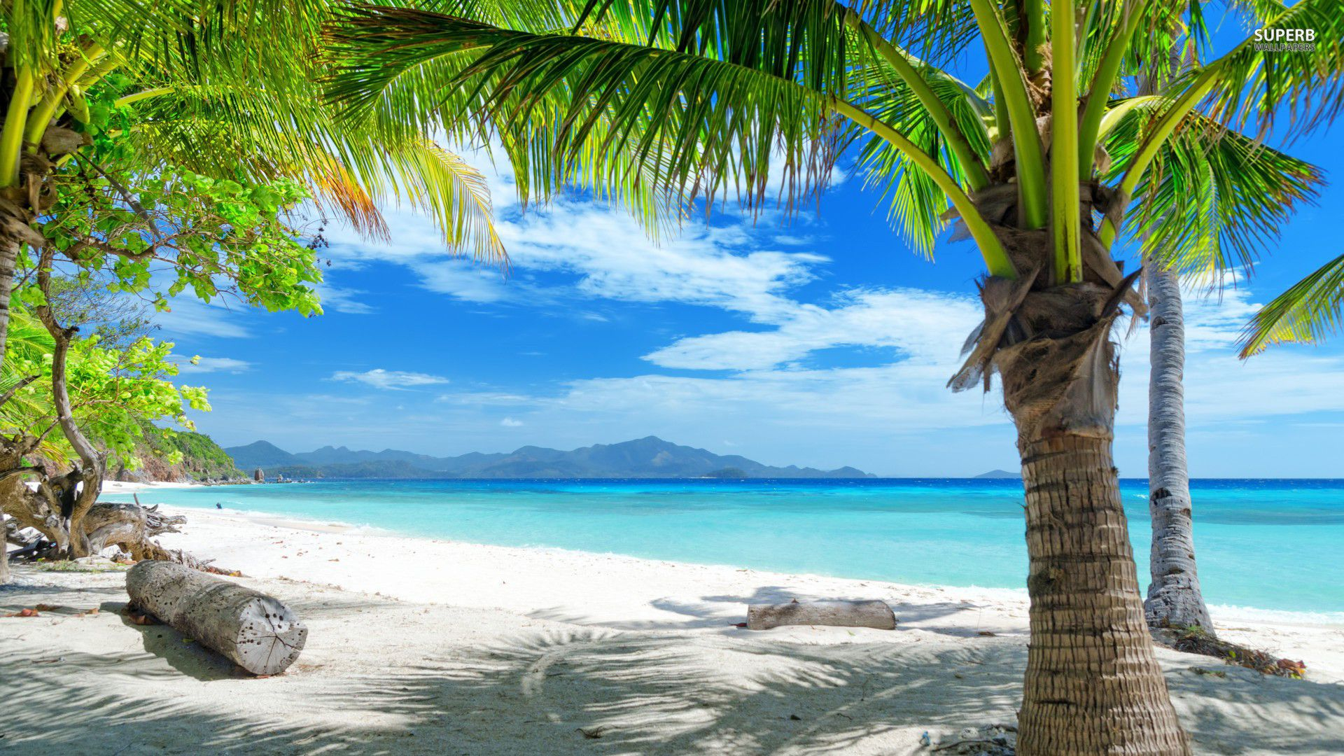 1920x1080 Tropical Beach Scenes Wallpapers Top Free Tropical Beach Scenes Backgrounds