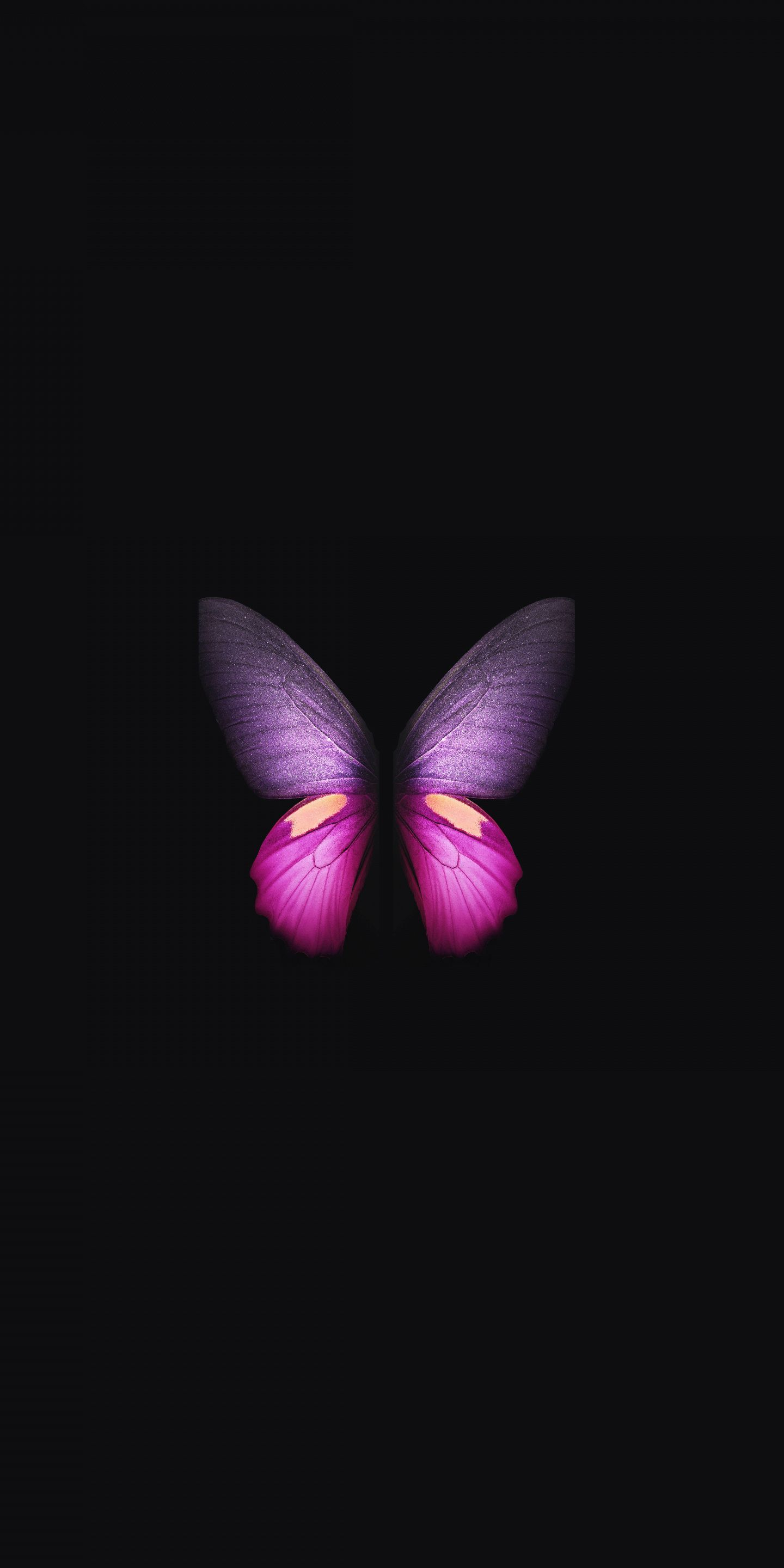 1440x2880 Pink and Purple Butterfly Wallpapers Top Free Pink and Purple Butterfly Backgrounds