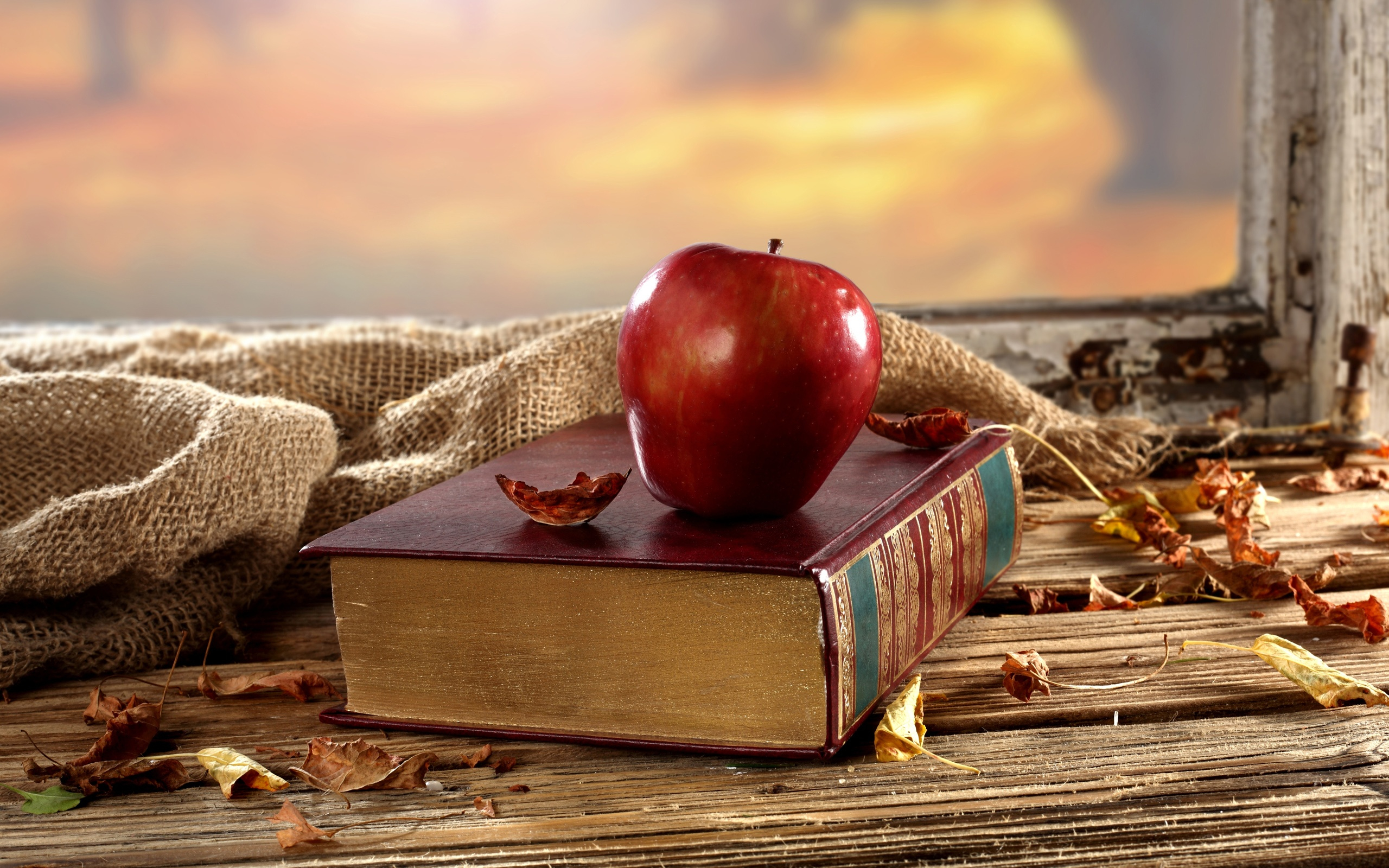 2560x1600 Old book, red apple, desk, window, dry leaves wallpaper | other | Wallpaper Better