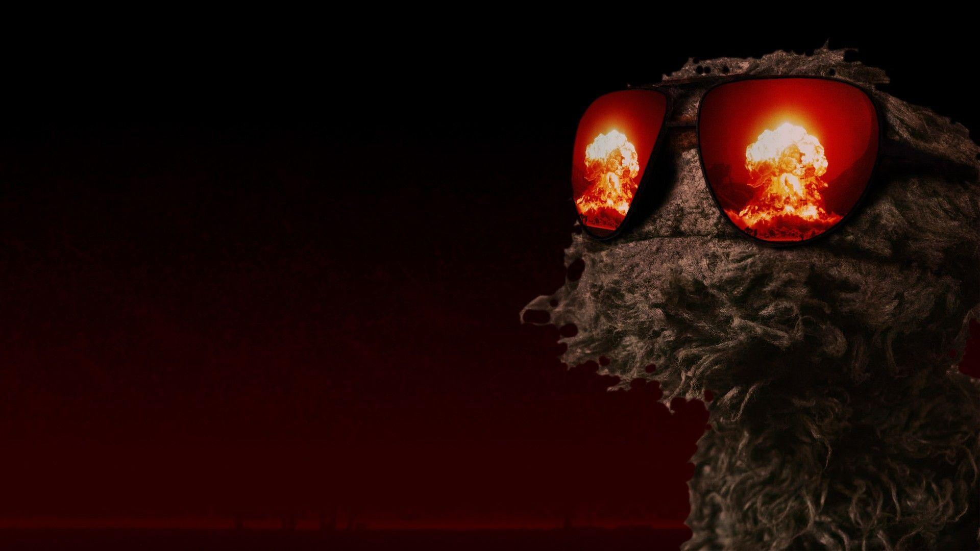 1920x1080 Oscar The Grouch Wallpapers