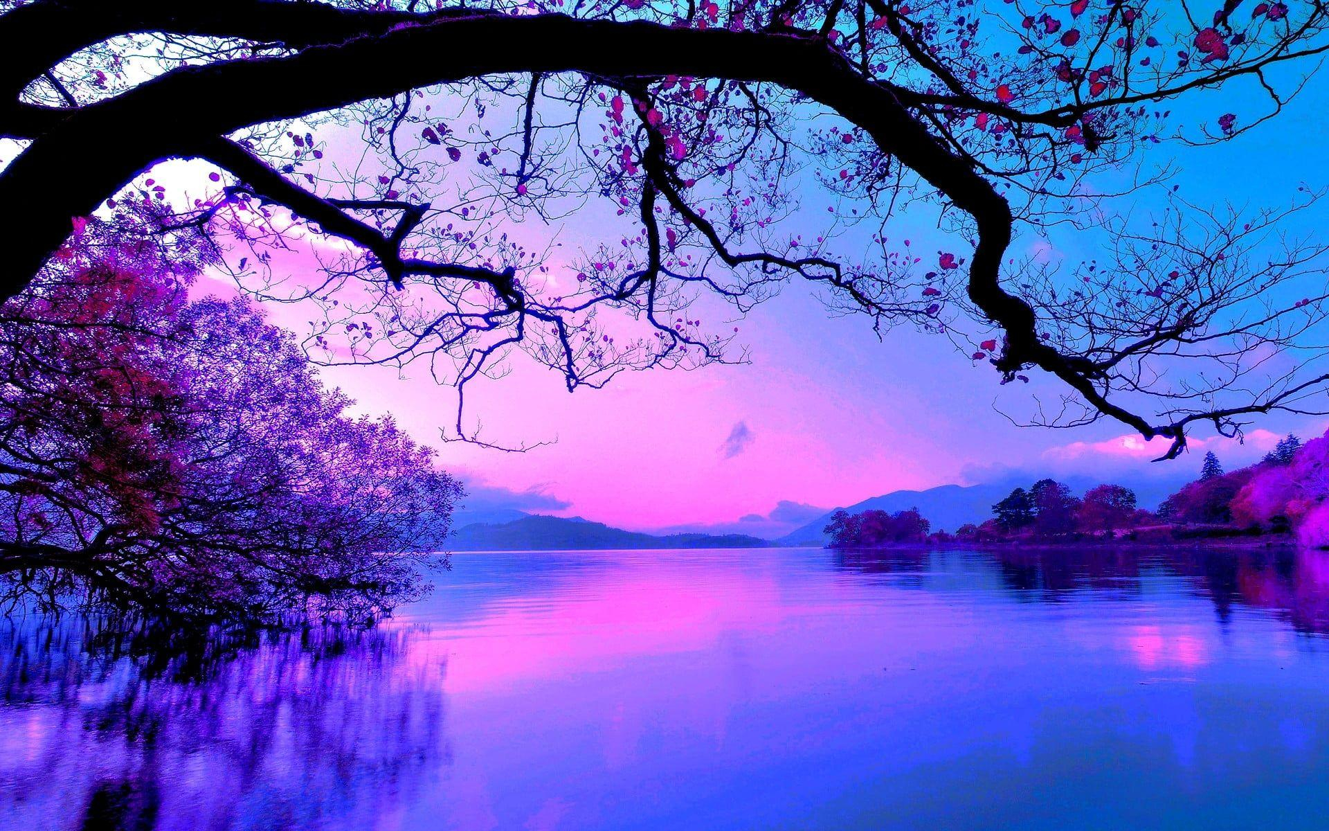 1920x1200 Nature HD Wallpapers Purple Sky