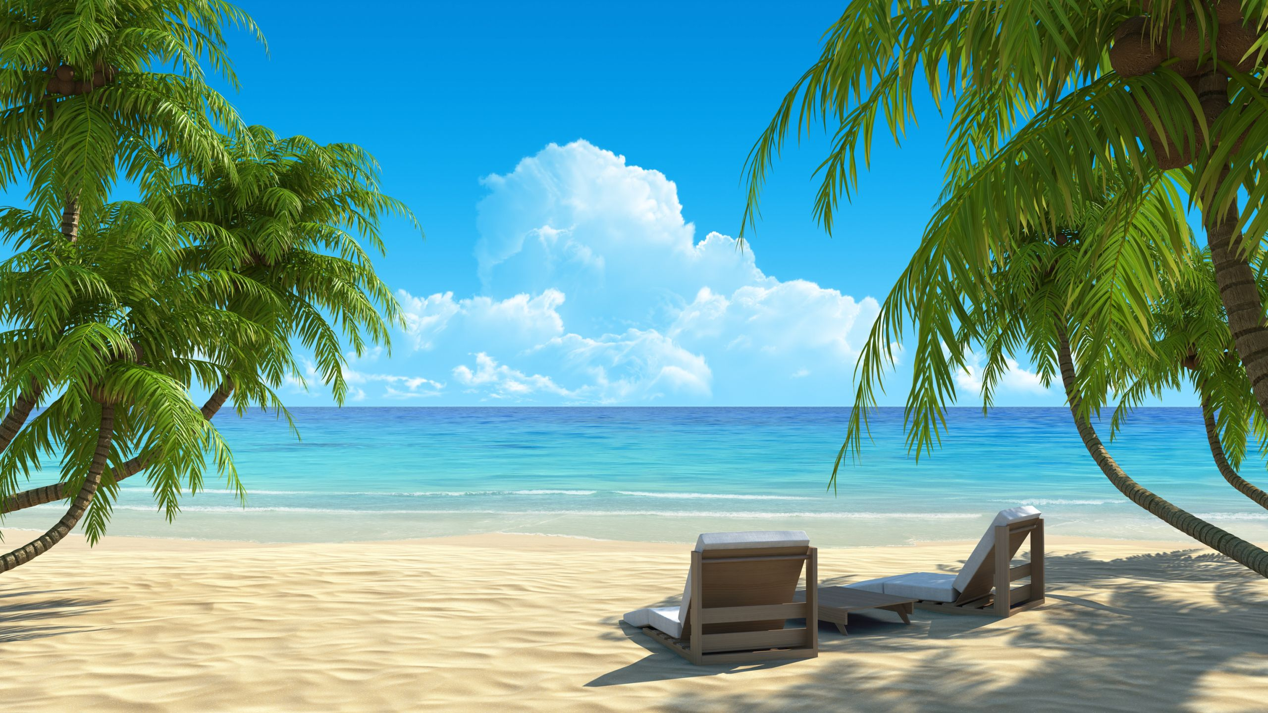 2560x1440 paradise Bing Images | Paysages magnifiques, Photo paradisiaque, Plage de sable blanc