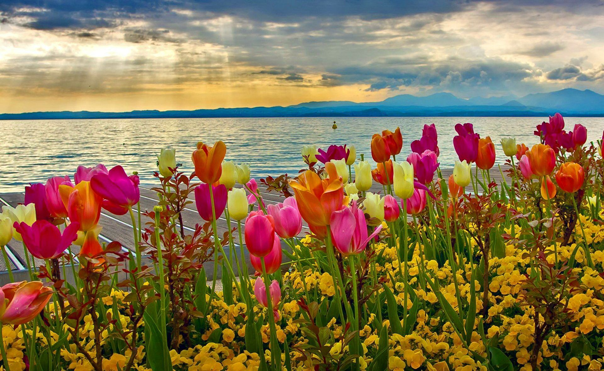 1920x1182 Spring Computer Wallpapers Top Free Spring Computer Backgrounds