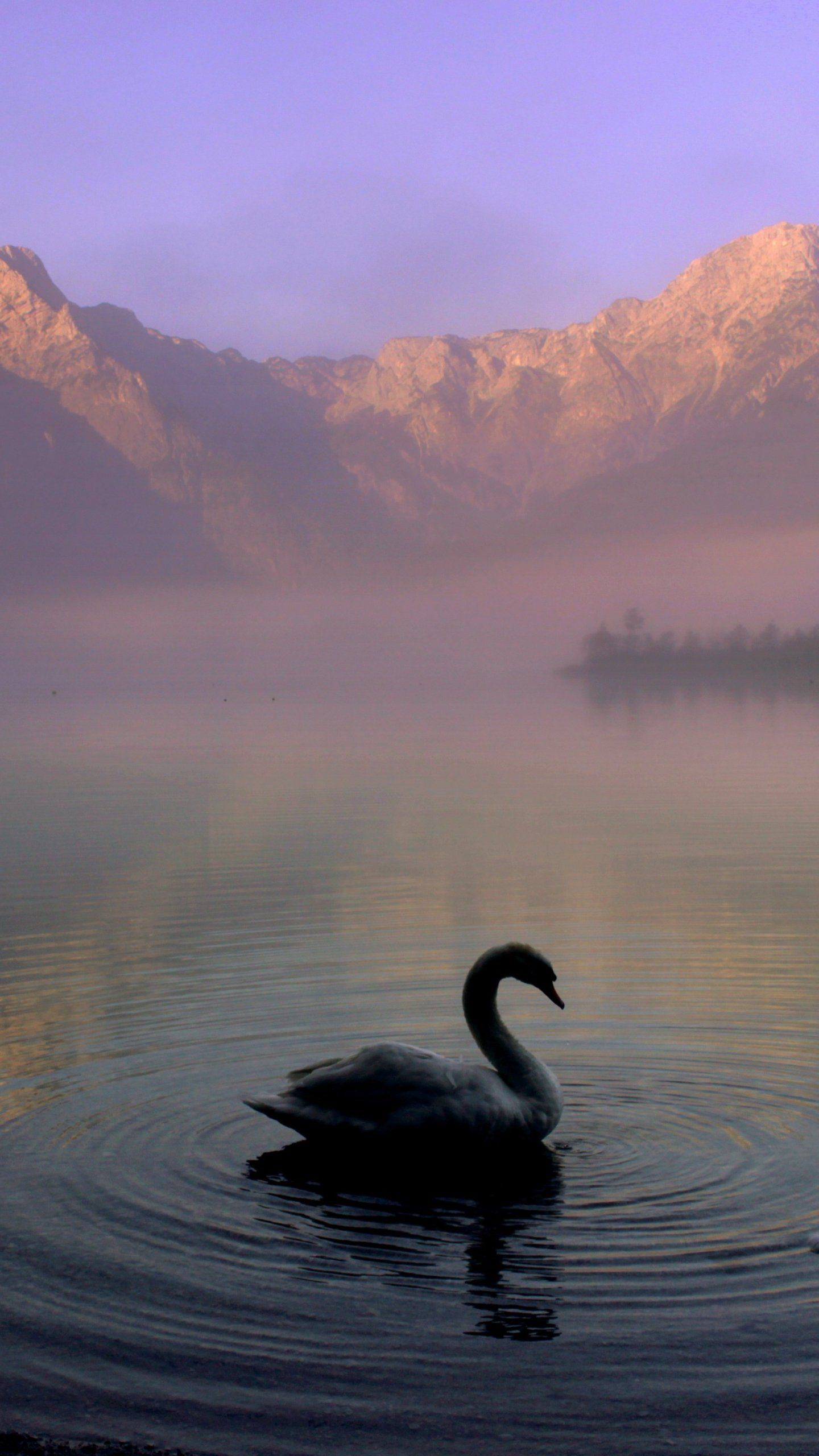 1440x2560 Swan in Mountain Lake Wallpaper iPhone, Android \u0026 Desktop Backgrounds | Swan wallpaper, Swan, Lake
