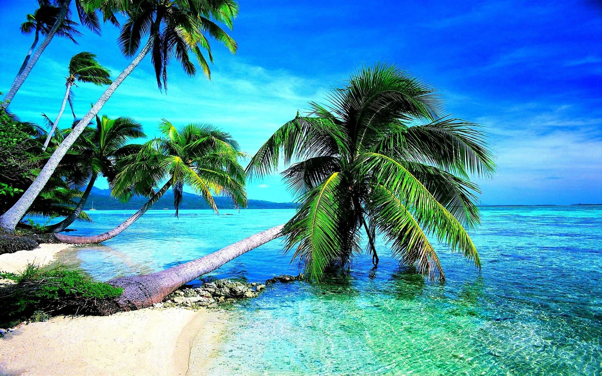 1920x1200 Tropical Beaches Desktop Wallpapers Top Free Tropical Beaches Desktop Backgrounds