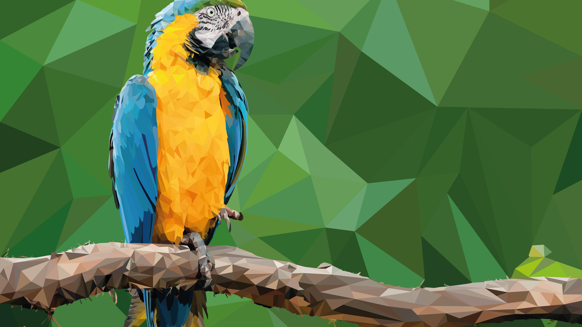 1920x1080 parrot HD Wallpaper KDE Store