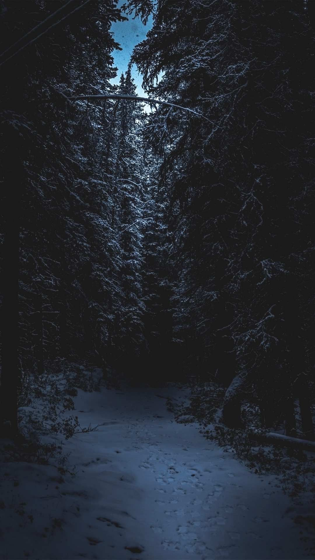 1080x1920 Winter Forest Snow iPhone Wallpaper | Bosque de noche, Fotograf&Atilde;&shy;a de bosque, Paisaje de fantas&Atilde;&shy;a
