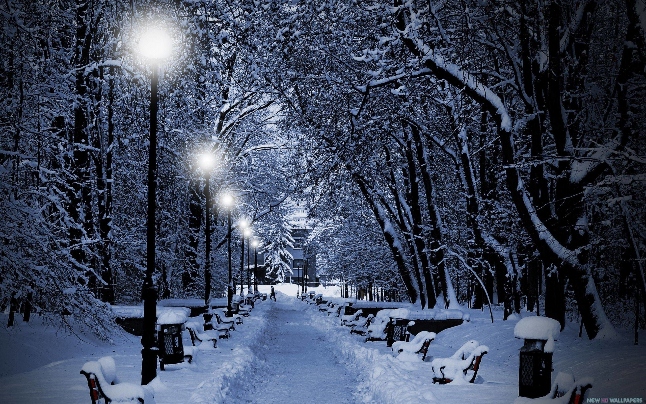 2560x1600 Winter Night Wallpaper (81+ pictures