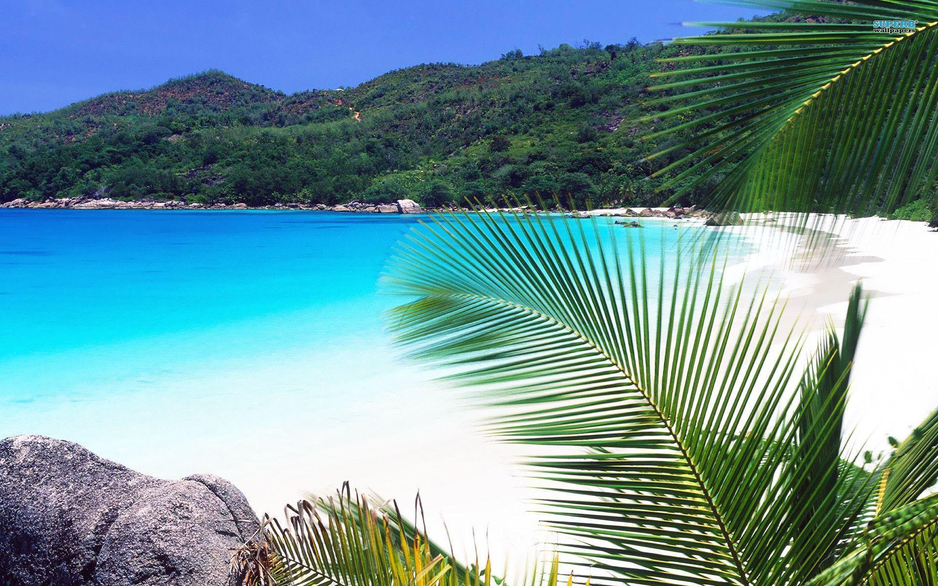 1920x1200 Seychelles Wallpapers Top Free Seychelles Backgrounds