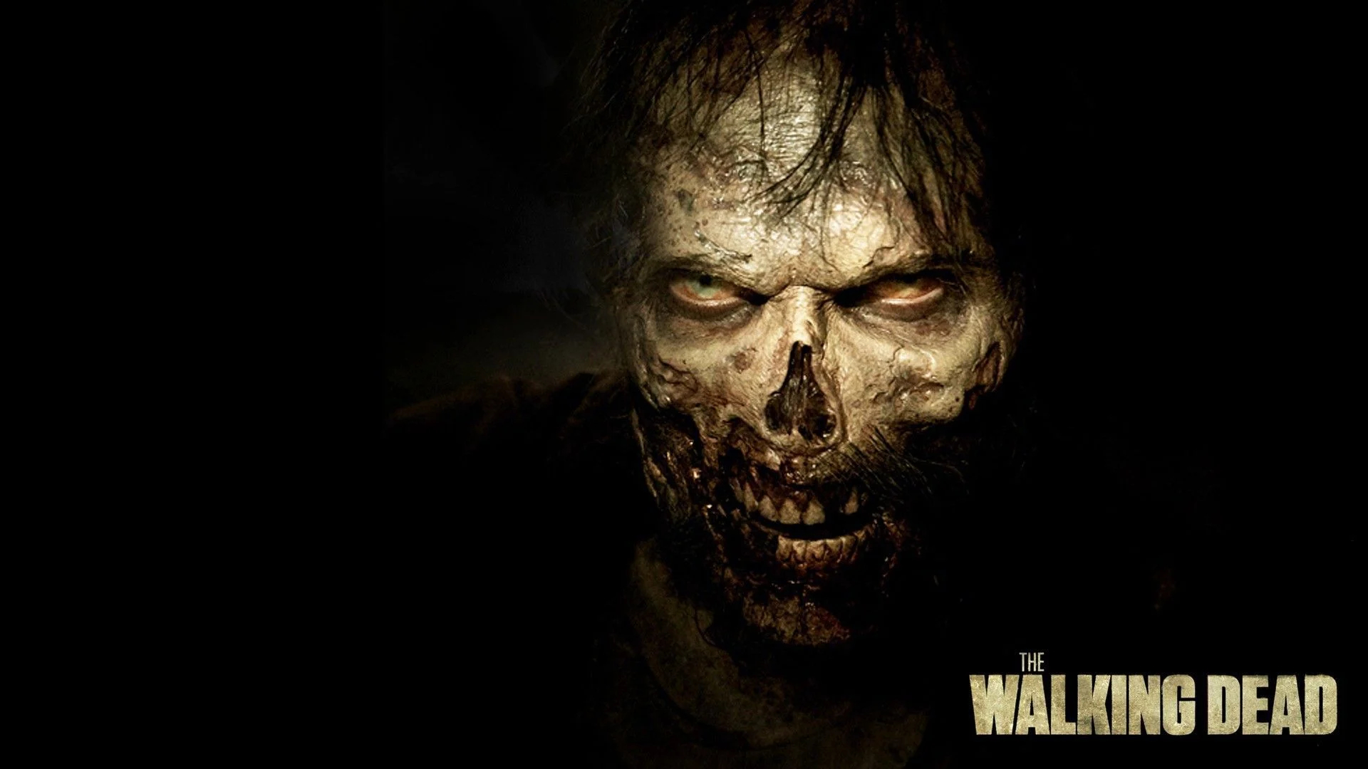 1920x1080 Walking Dead Zombie Wallpapers Top Free Walking Dead Zombie Backgrounds