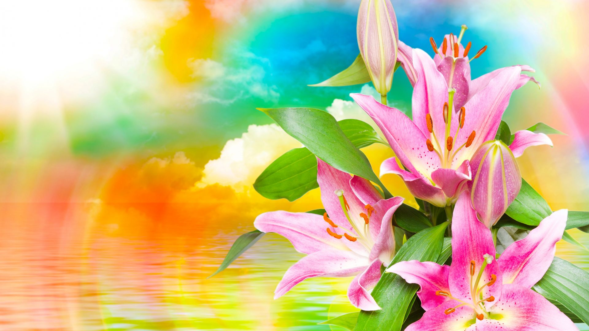 1920x1080 Desktop Wallpaper Pink Lily Flower, Artwork, Hd Image, Picture, Background, K3kczi