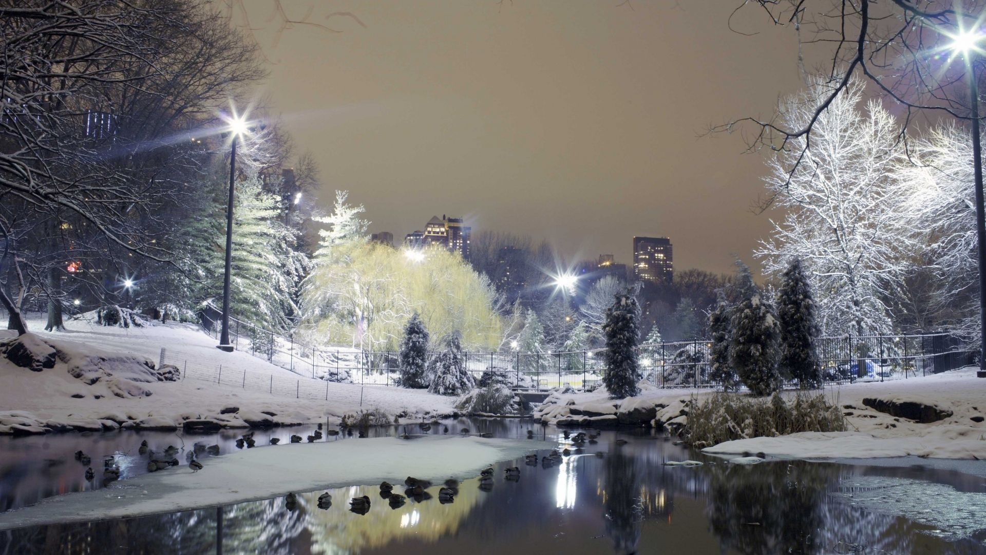 1920x1080 Download Wallpaper City , Park, Trees, Winter, Snow , Lights ... | Winter wallpaper, City wallpaper, Winter nature