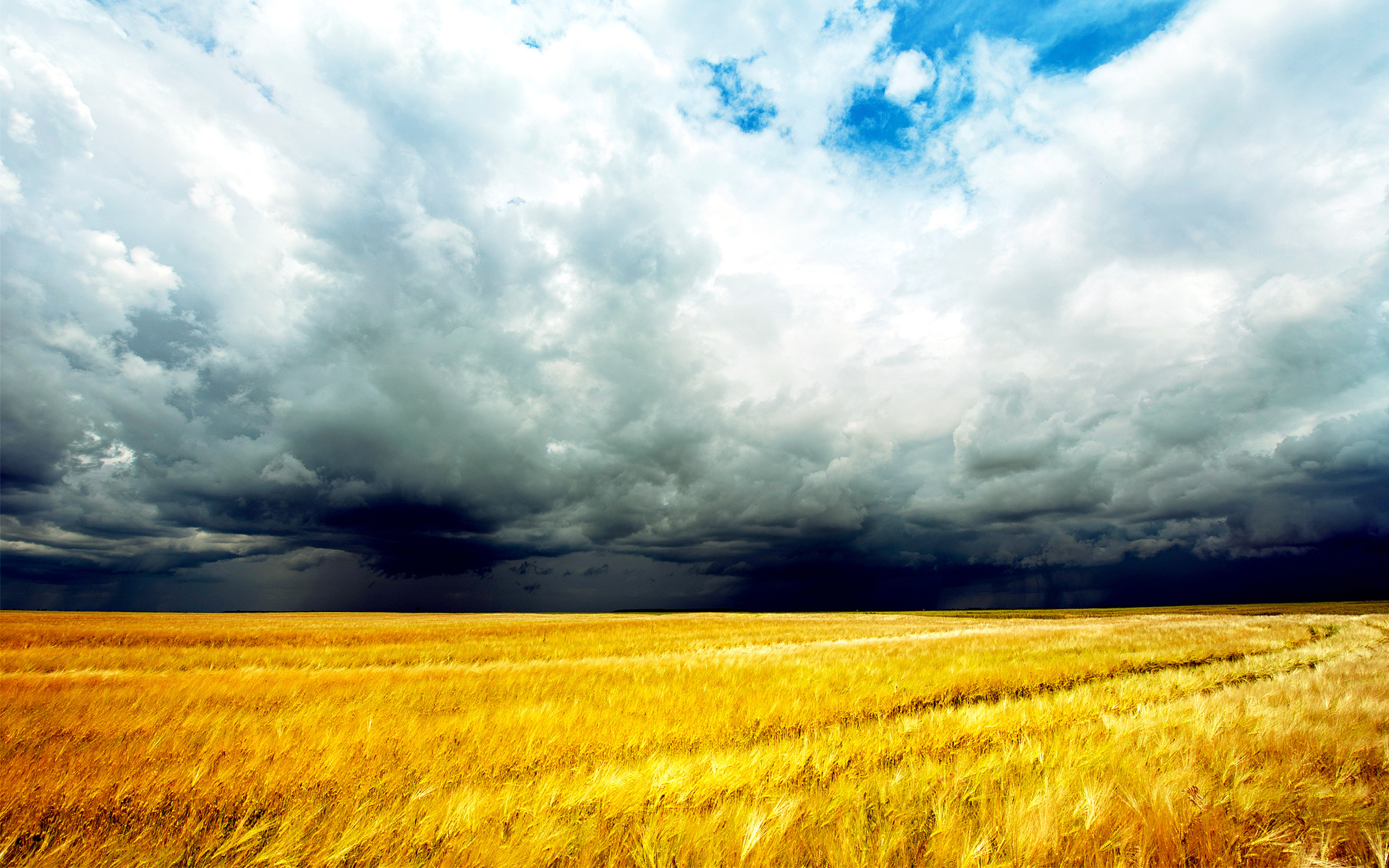 1920x1200 Landscape wheat field storm clouds wallpaper | | 91219 |
