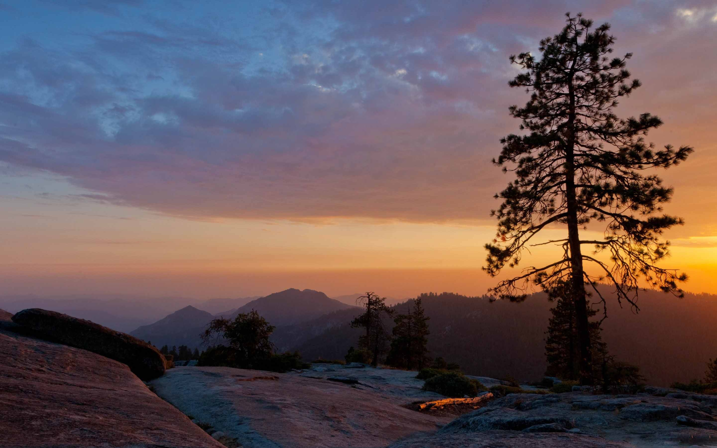 2880x1800 Beetle Rock Sequoia National Park MacBook Air Wallpaper Download |