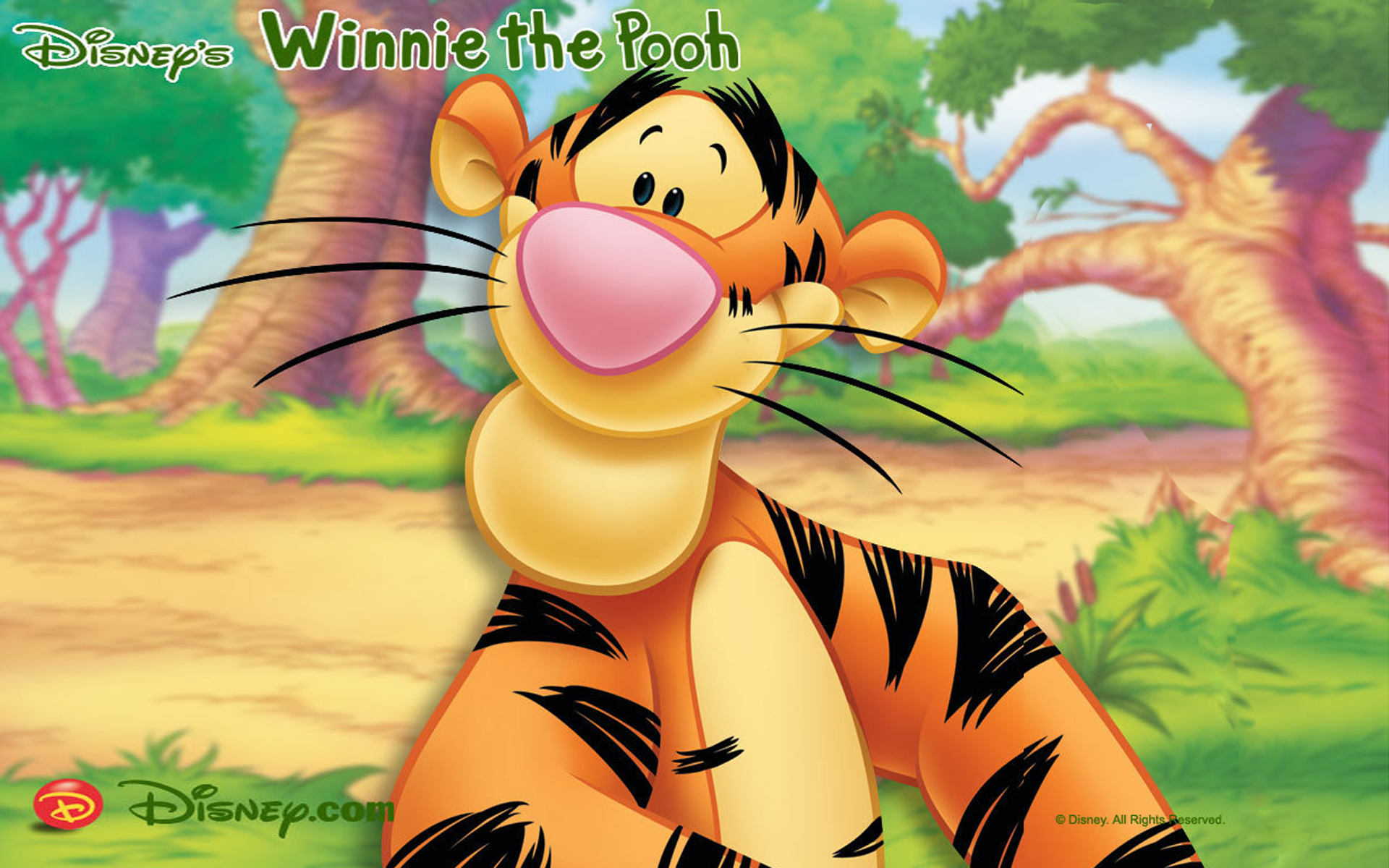 1920x1200 Tigger Character In The Cartoon Winnie The Pooh Walt Disney Desktop Hd Wallpapers :
