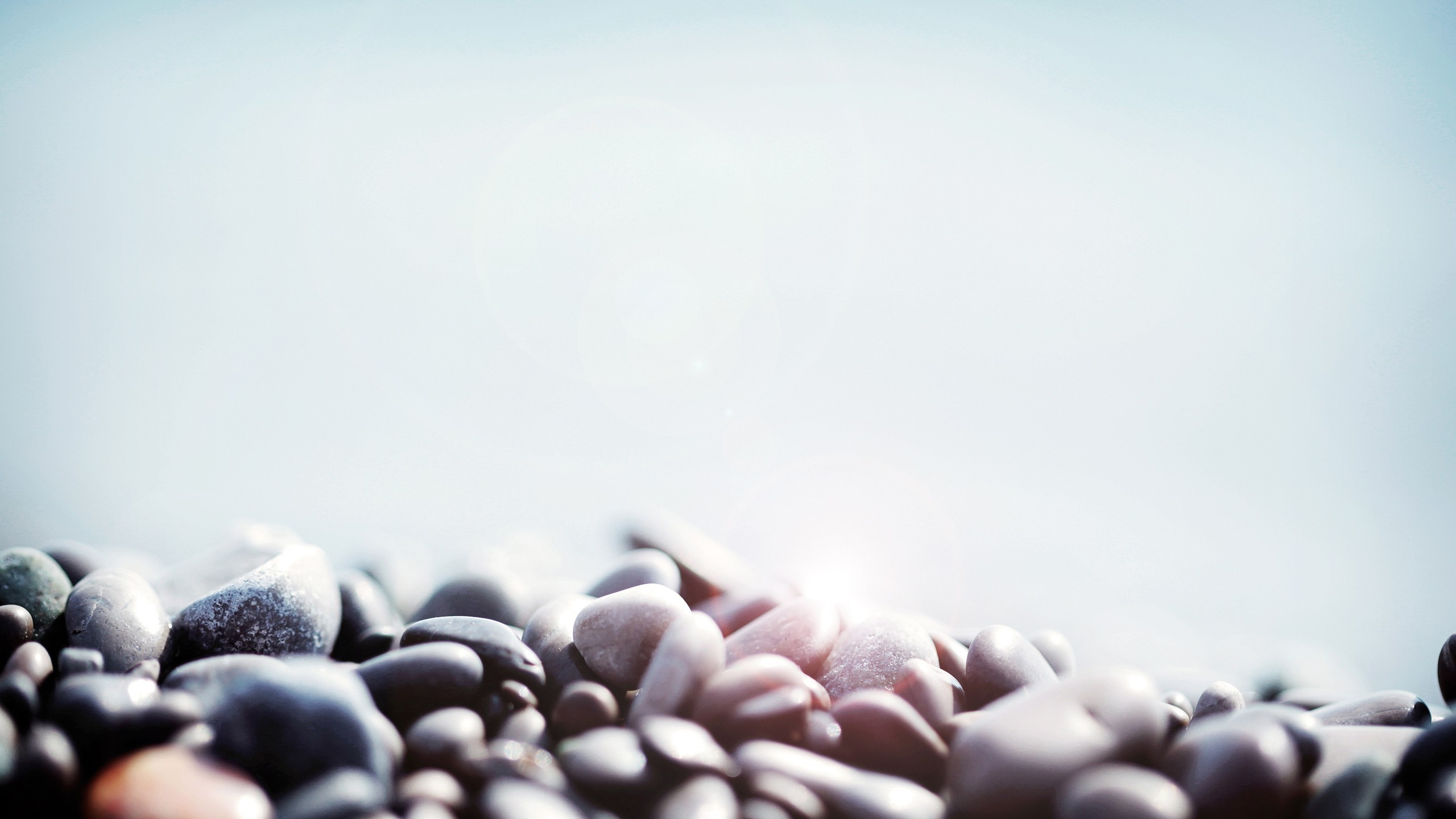 2560x1440 Wallpaper : px, bright, depth of field, macro, nature, pebbles, simple background, stones wallpaperUp 651526 HD Wallpapers